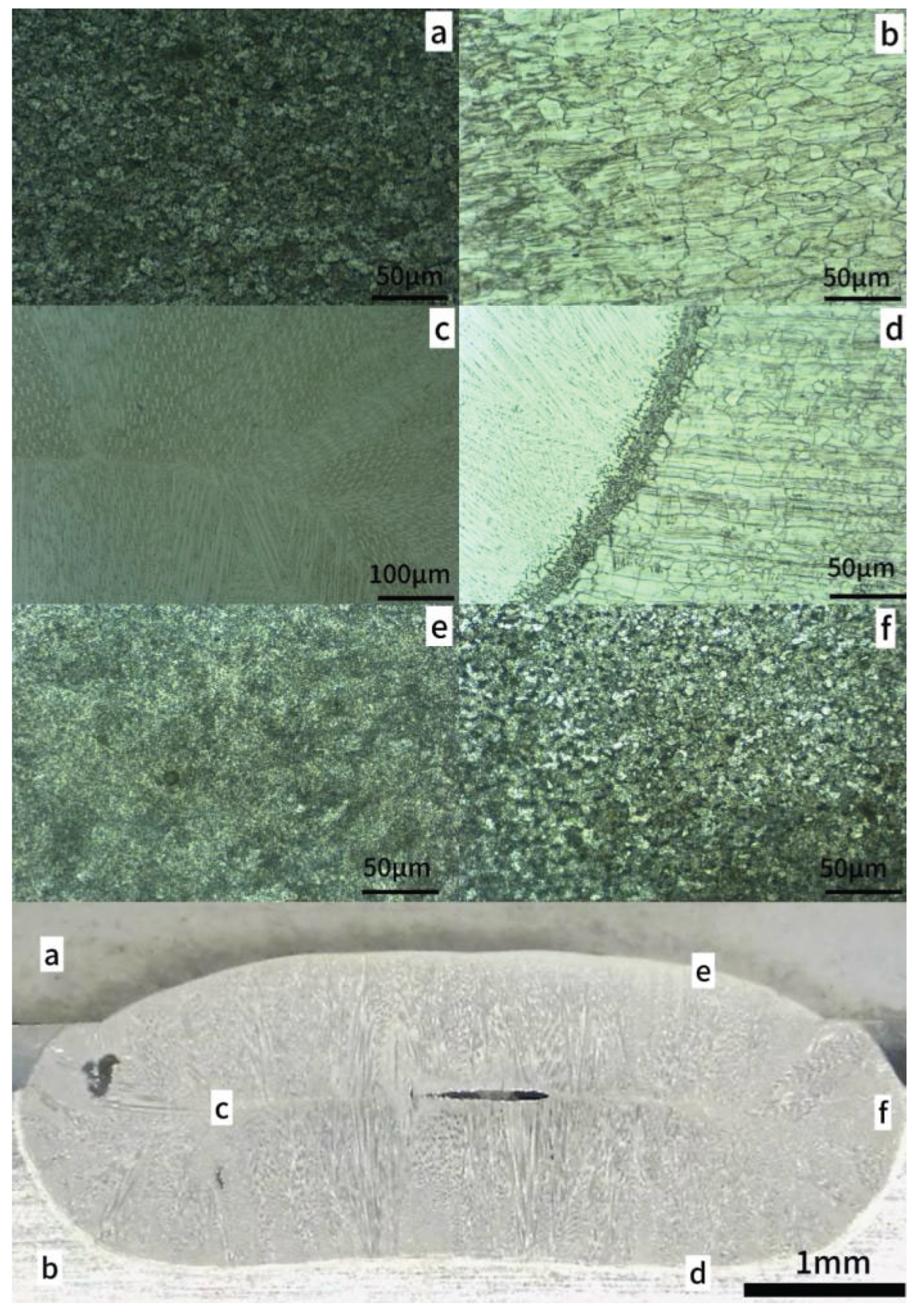 Preprints 202684 g014