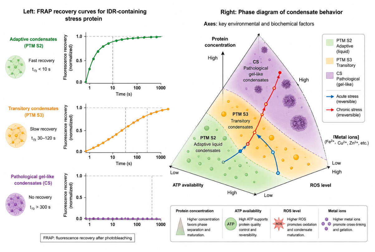 Preprints 229740 g002 Preprints 229740 g002