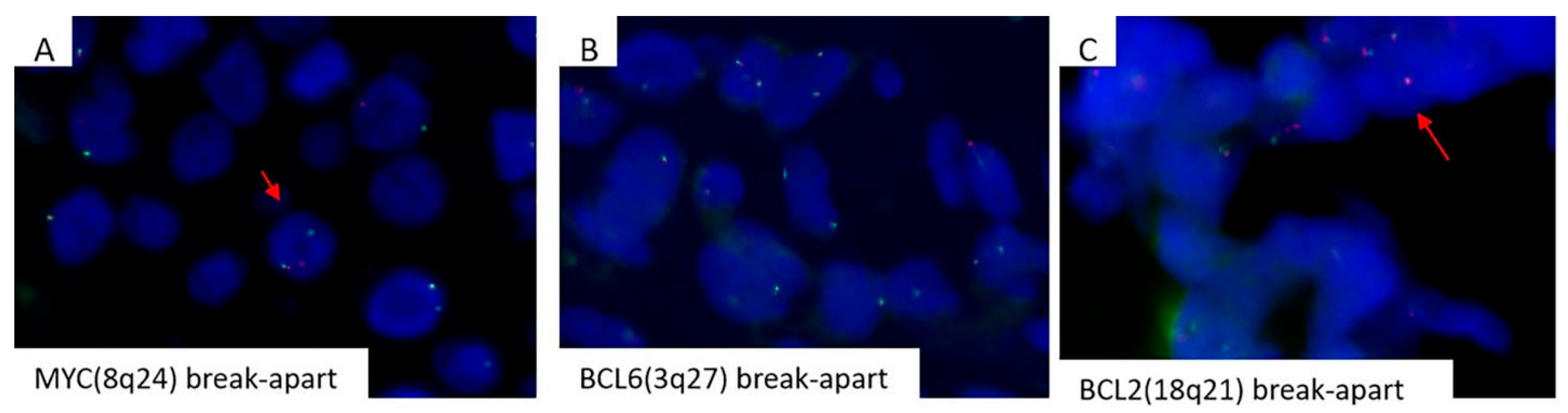 Preprints 187581 g003