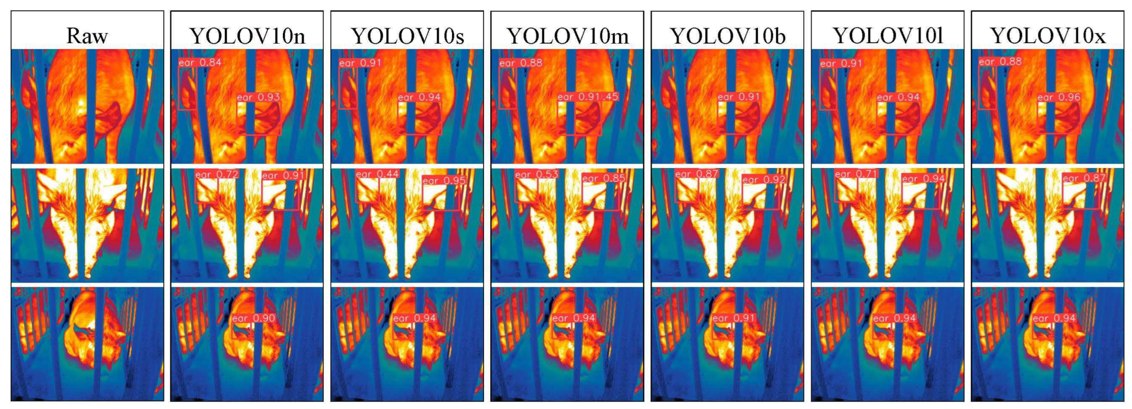 Preprints 141582 g029