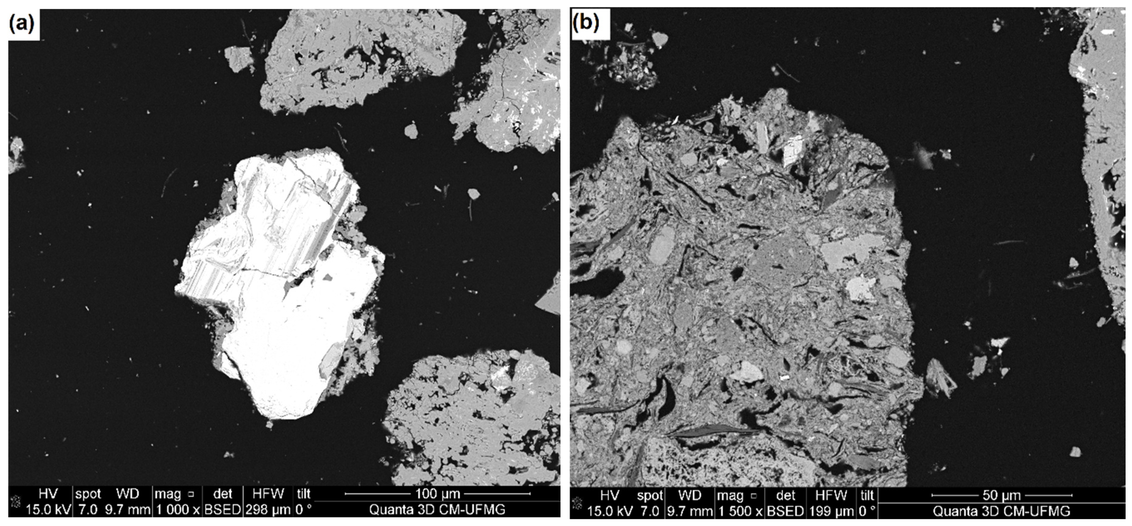 Preprints 92555 g002