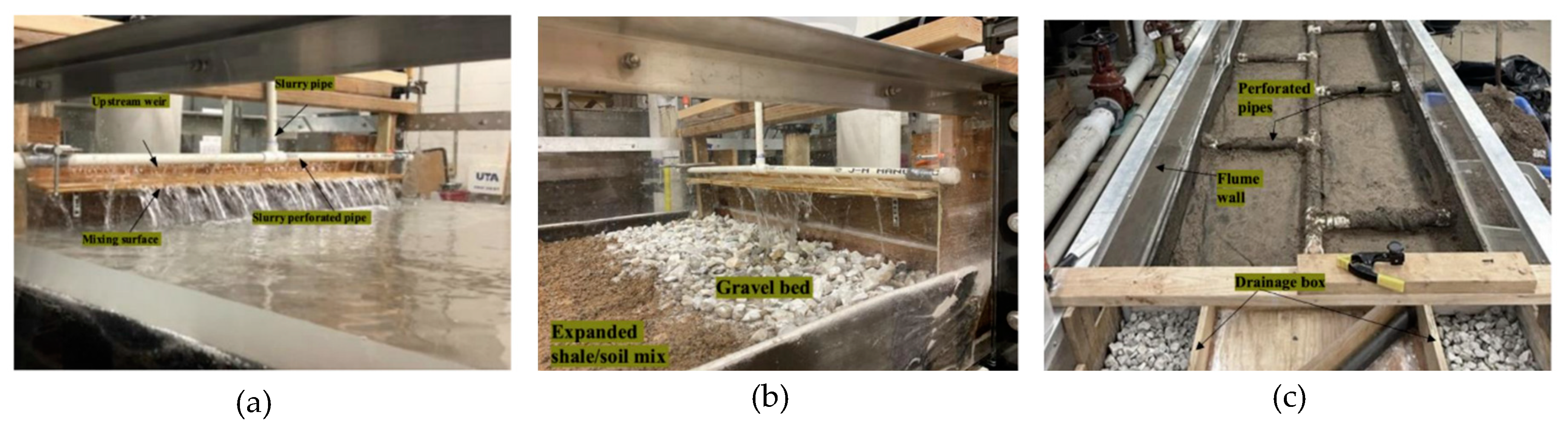 Preprints 140584 g002