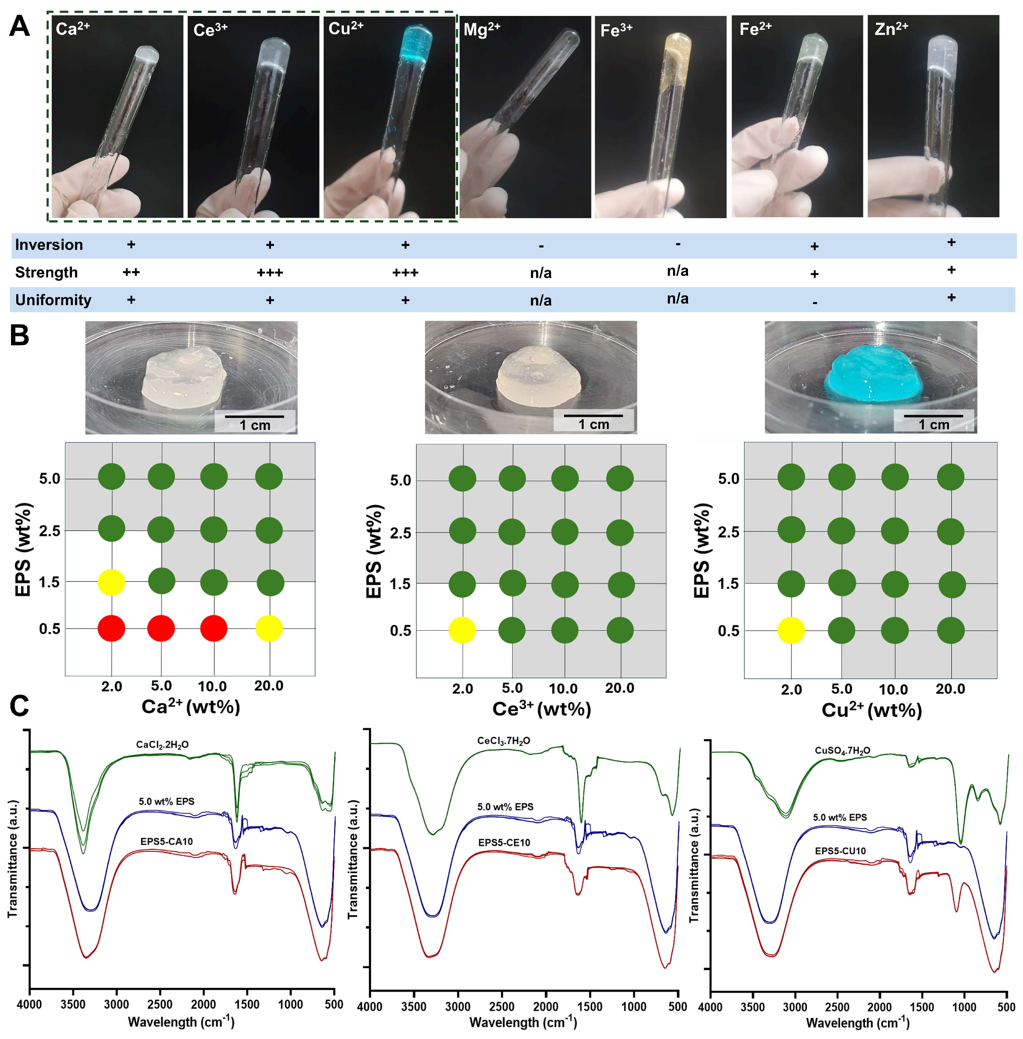 Hydrogel-Forming Ability and Characterization of Exopolysaccharide (EPS ...