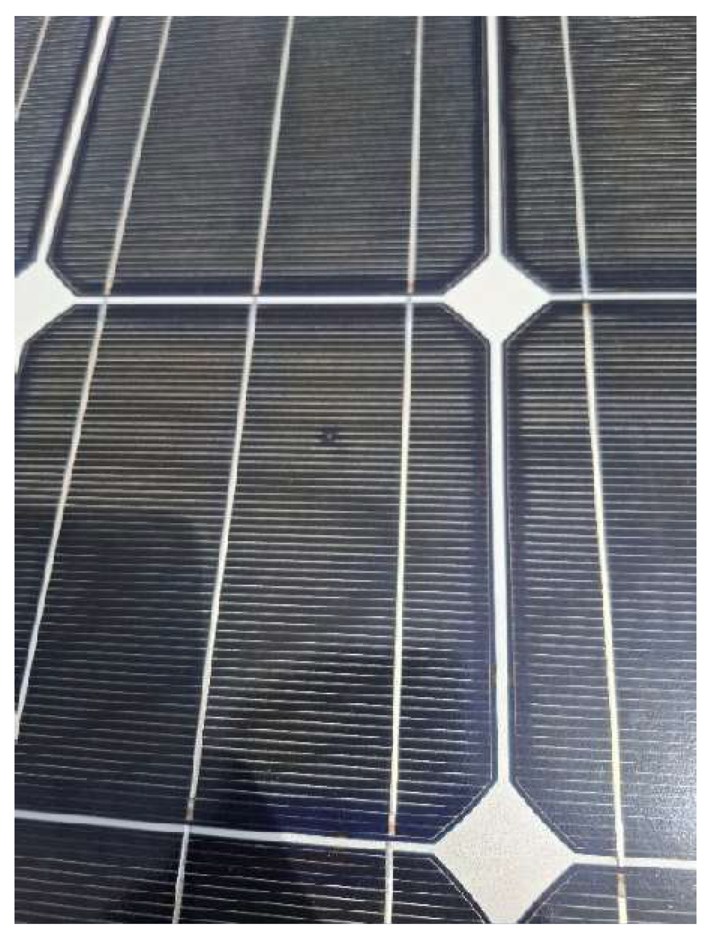 Preprints 196444 g005