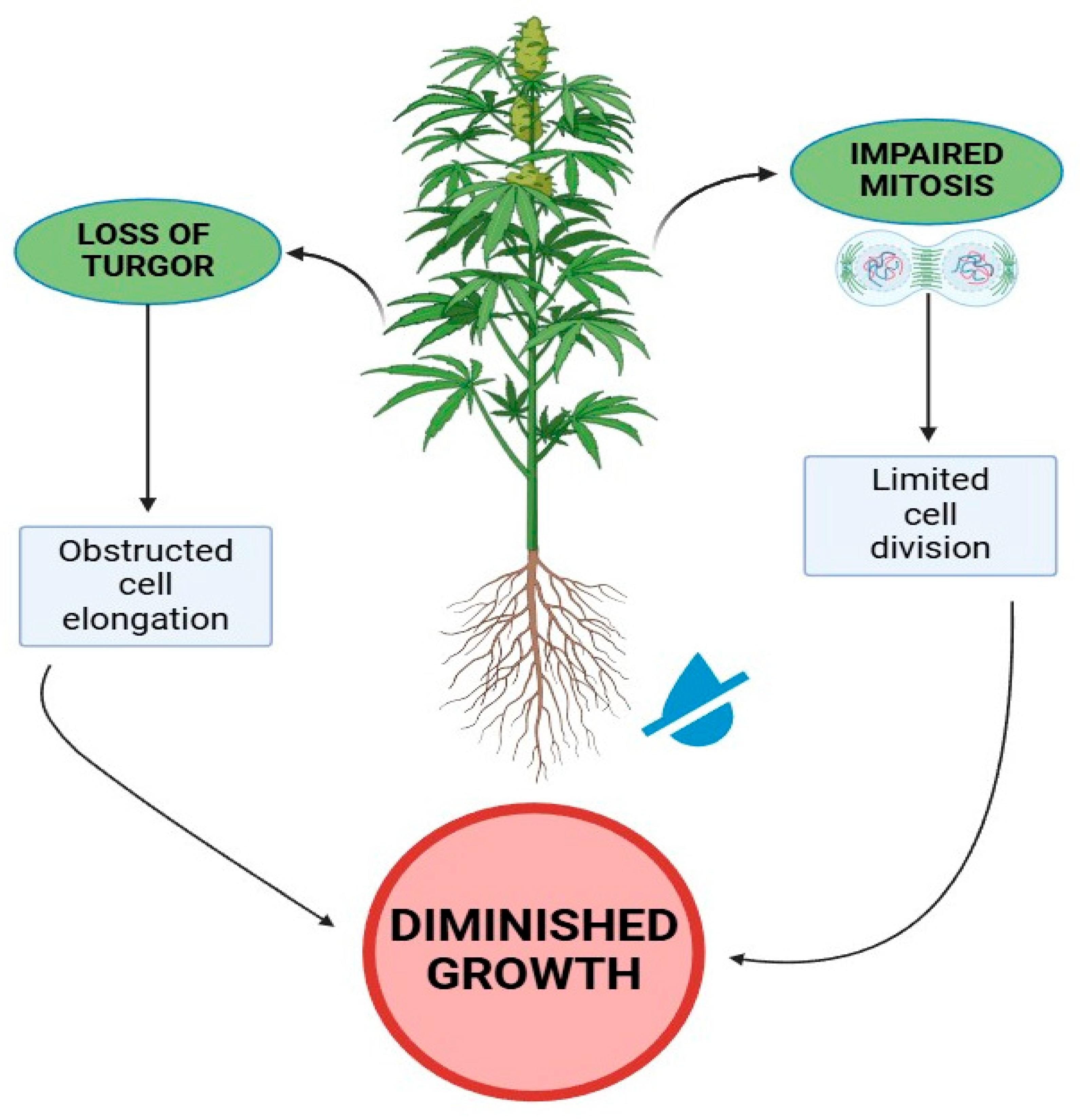 Preprints 156789 g001