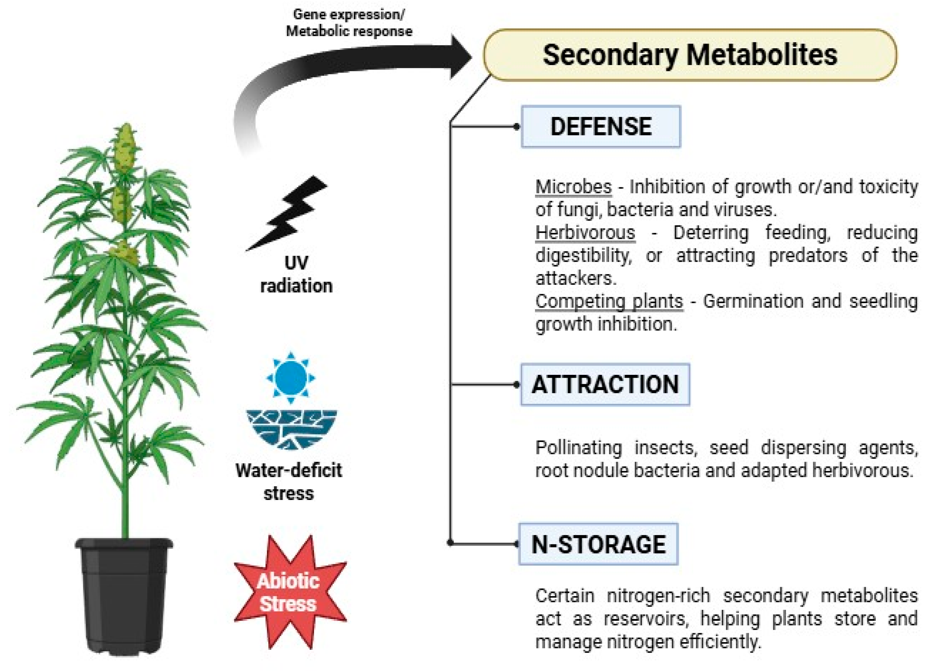 Preprints 156789 g002