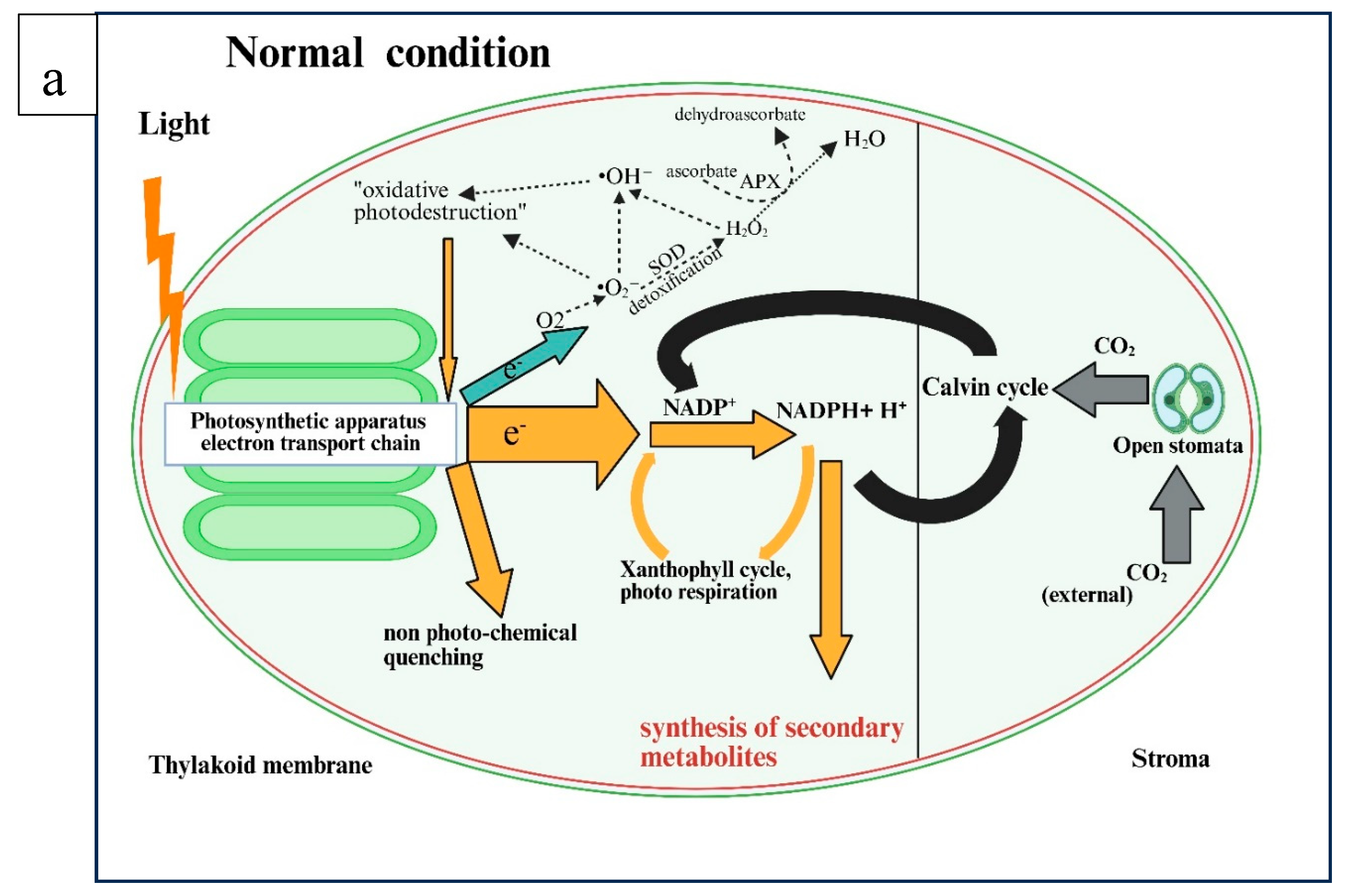 Preprints 156789 g003a