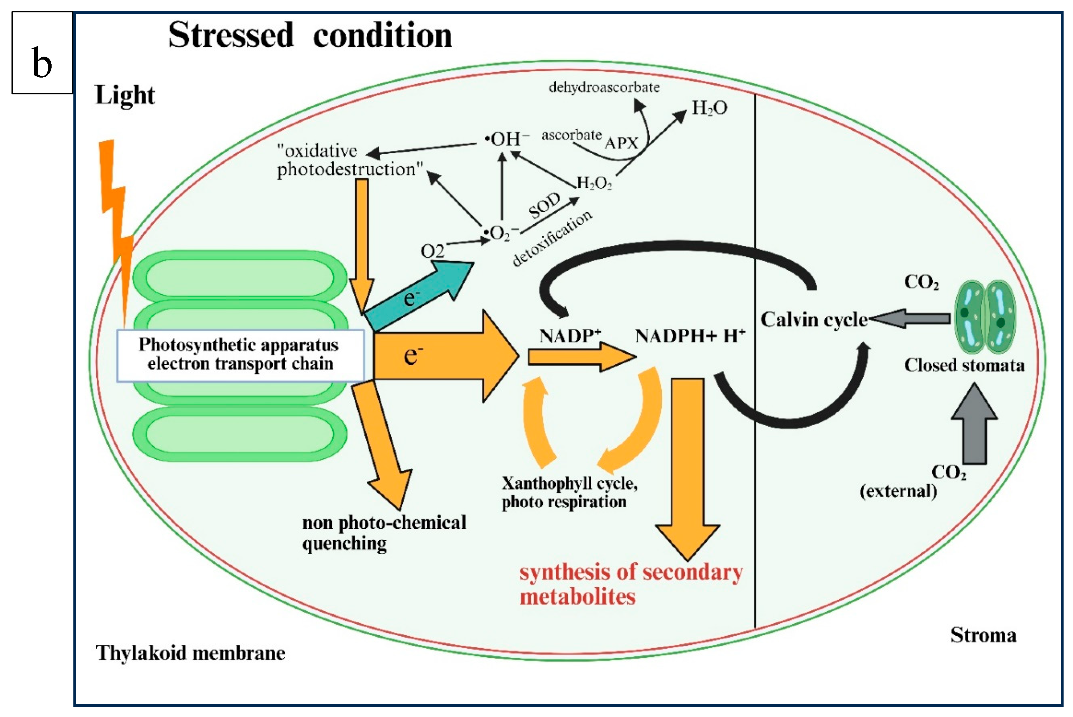 Preprints 156789 g003b
