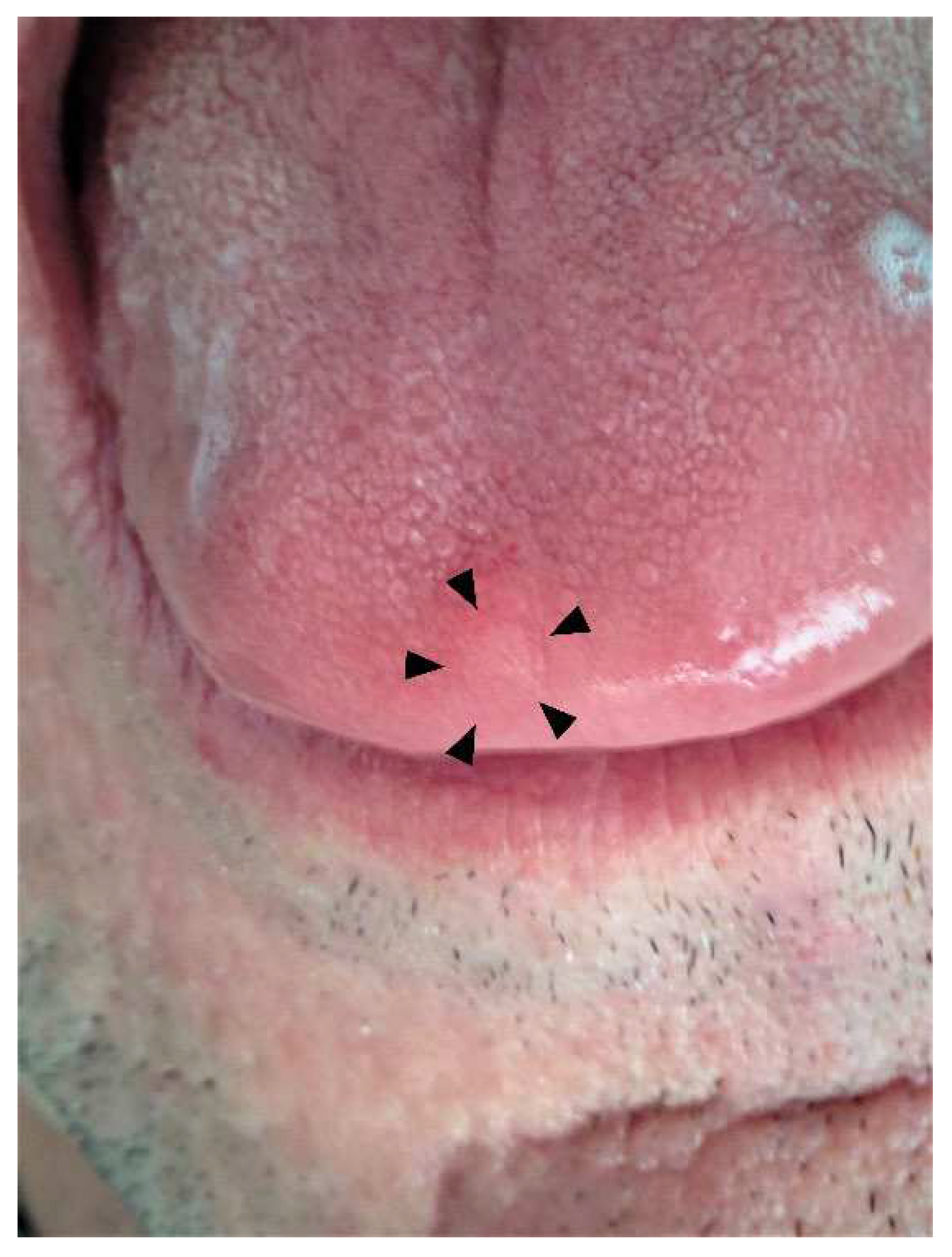 Preprints 97987 g002