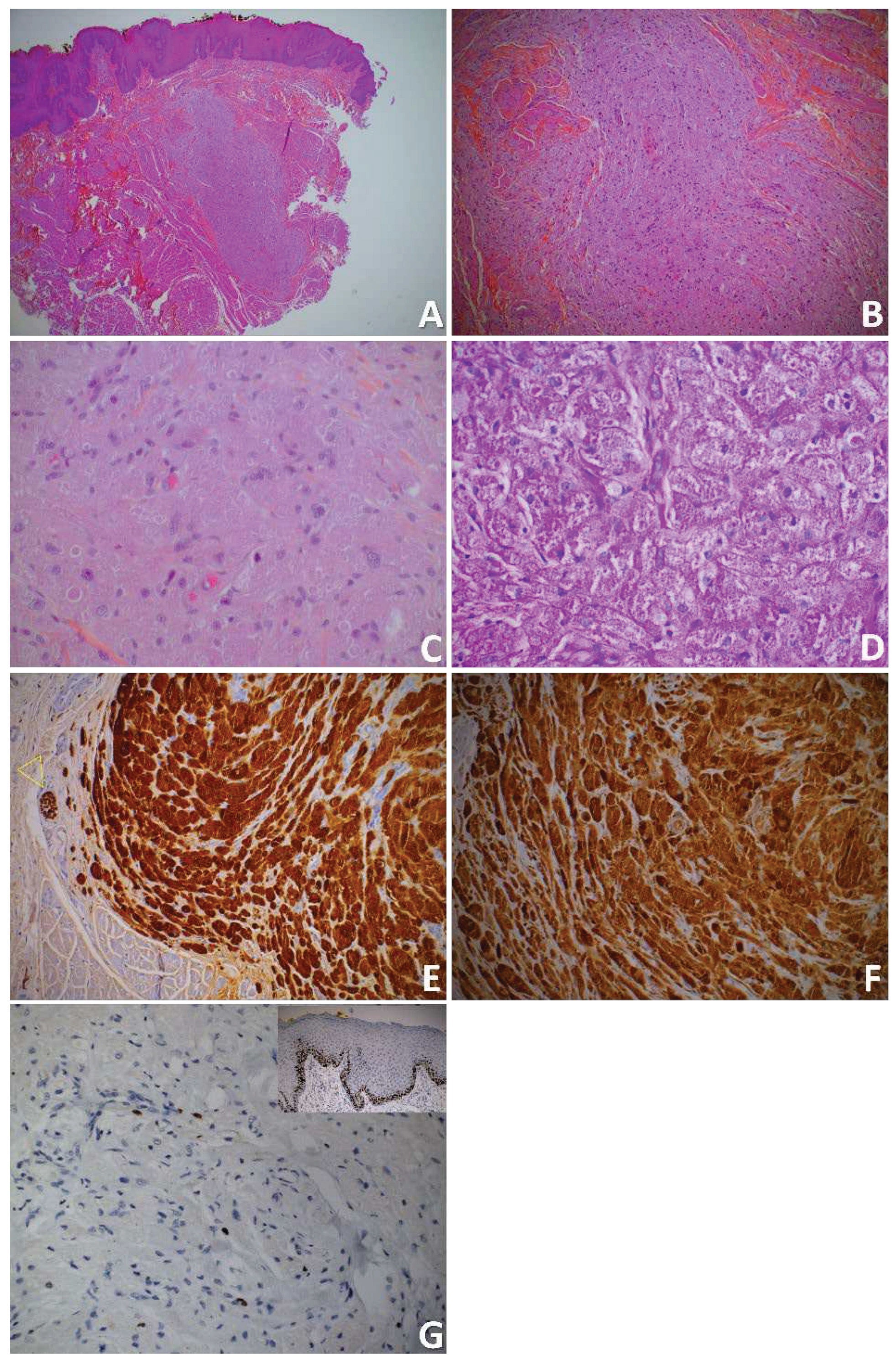 Preprints 97987 g003