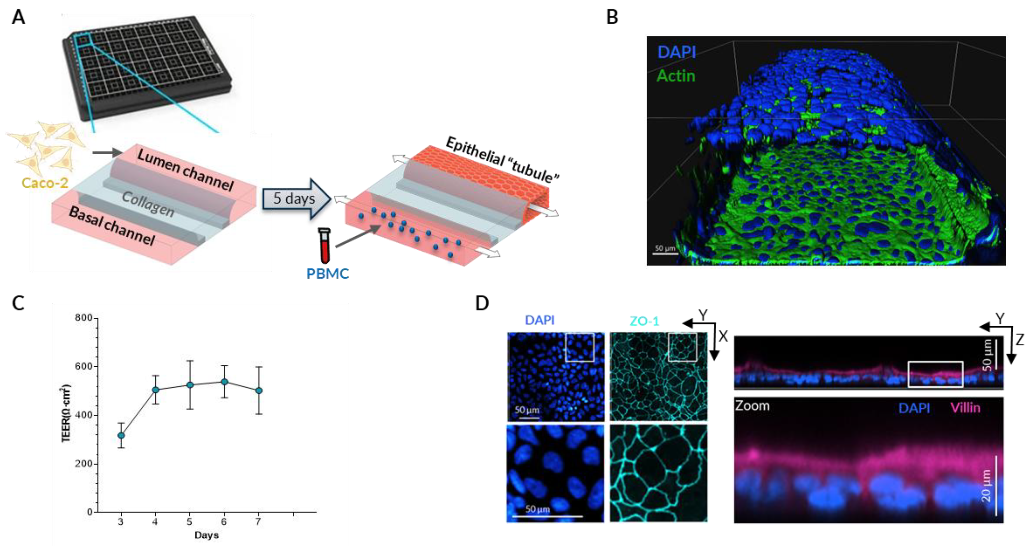 Preprints 175168 g001