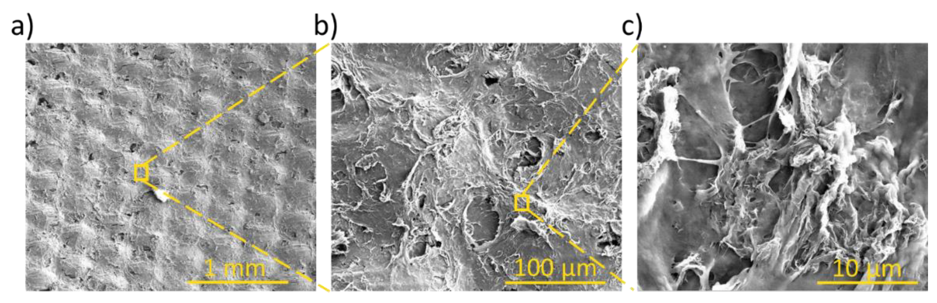 Preprints 148071 g002