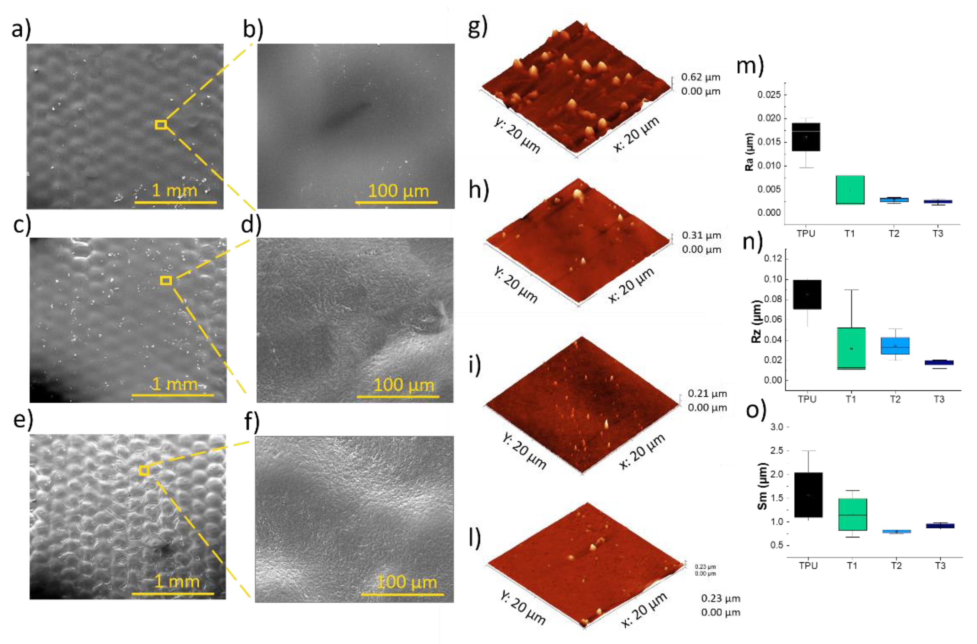 Preprints 148071 g003