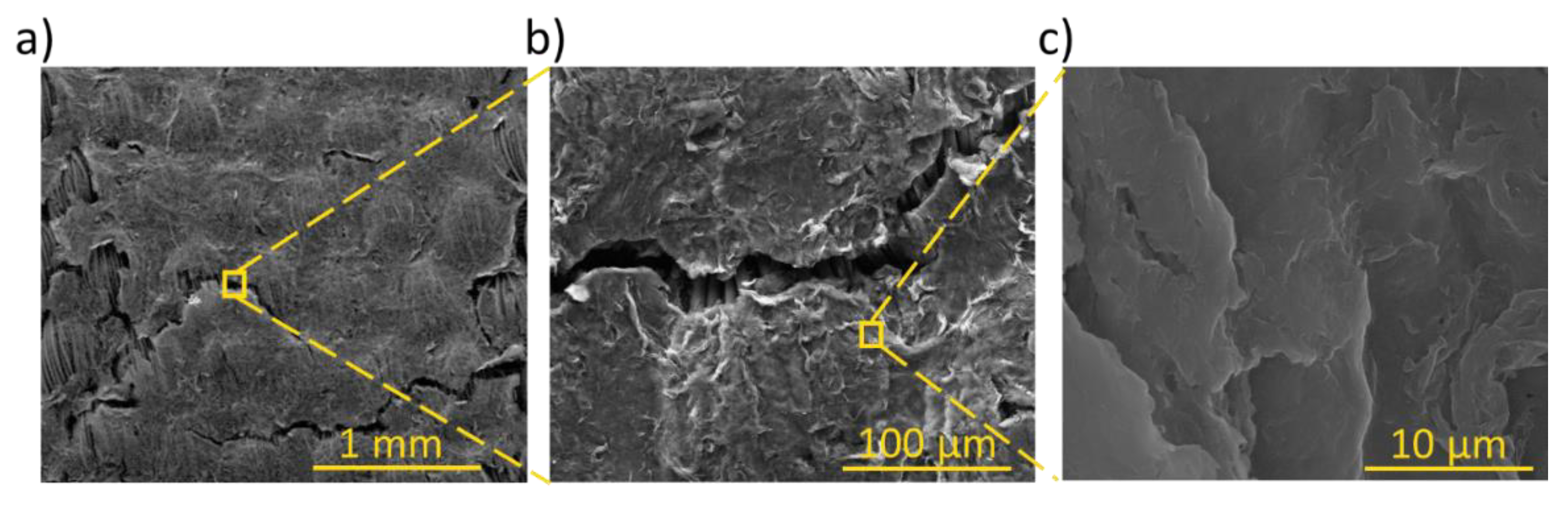 Preprints 148071 g004