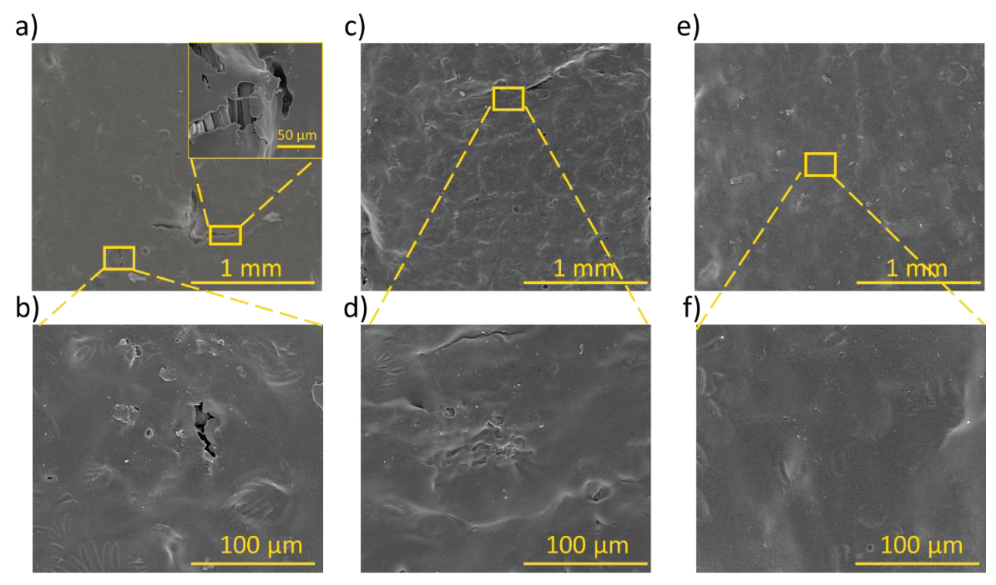 Preprints 148071 g005