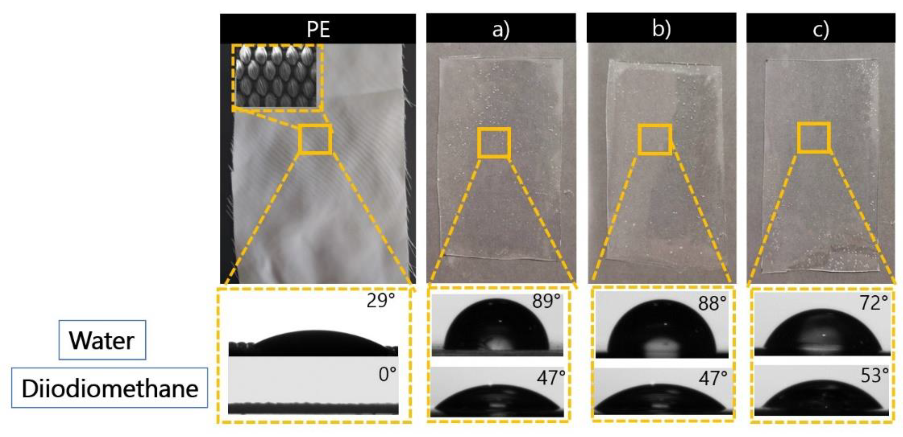 Preprints 148071 g006