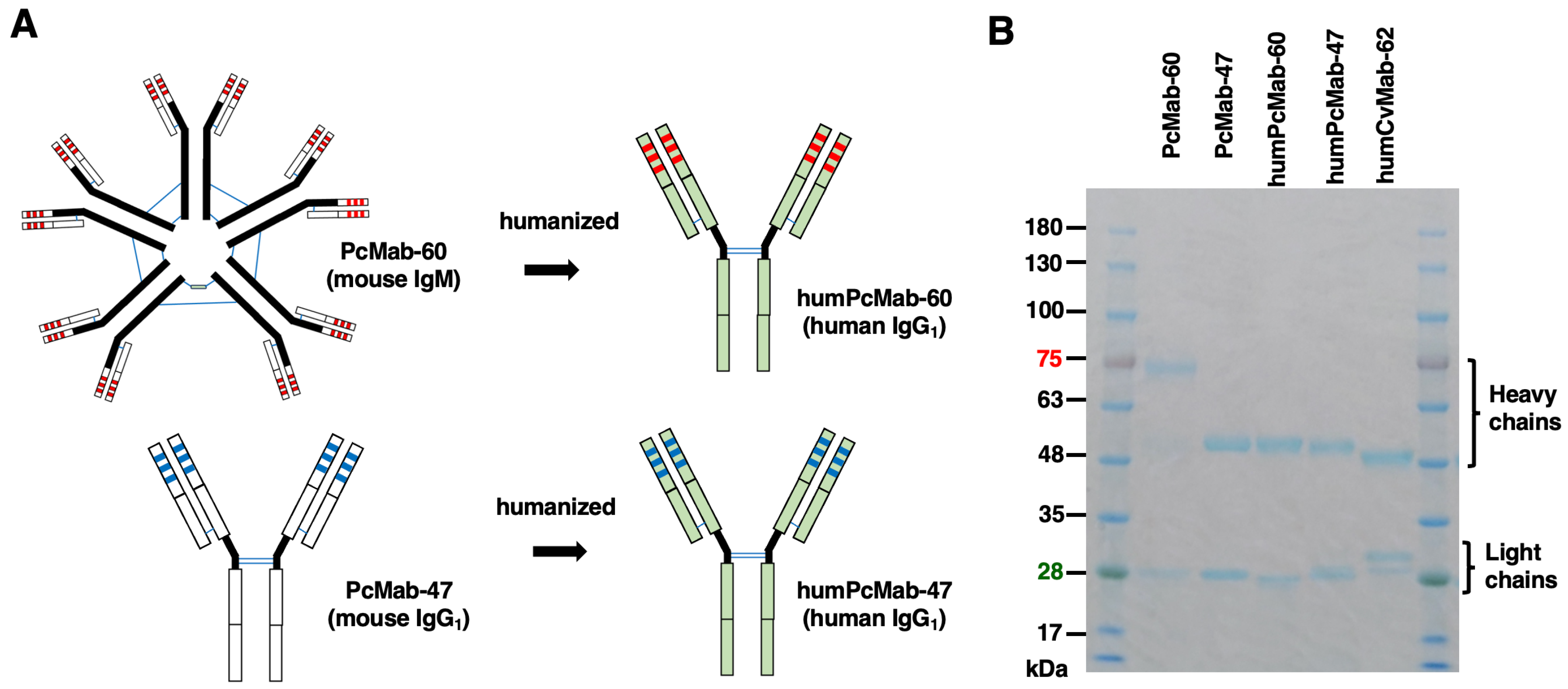 Preprints 165812 g001