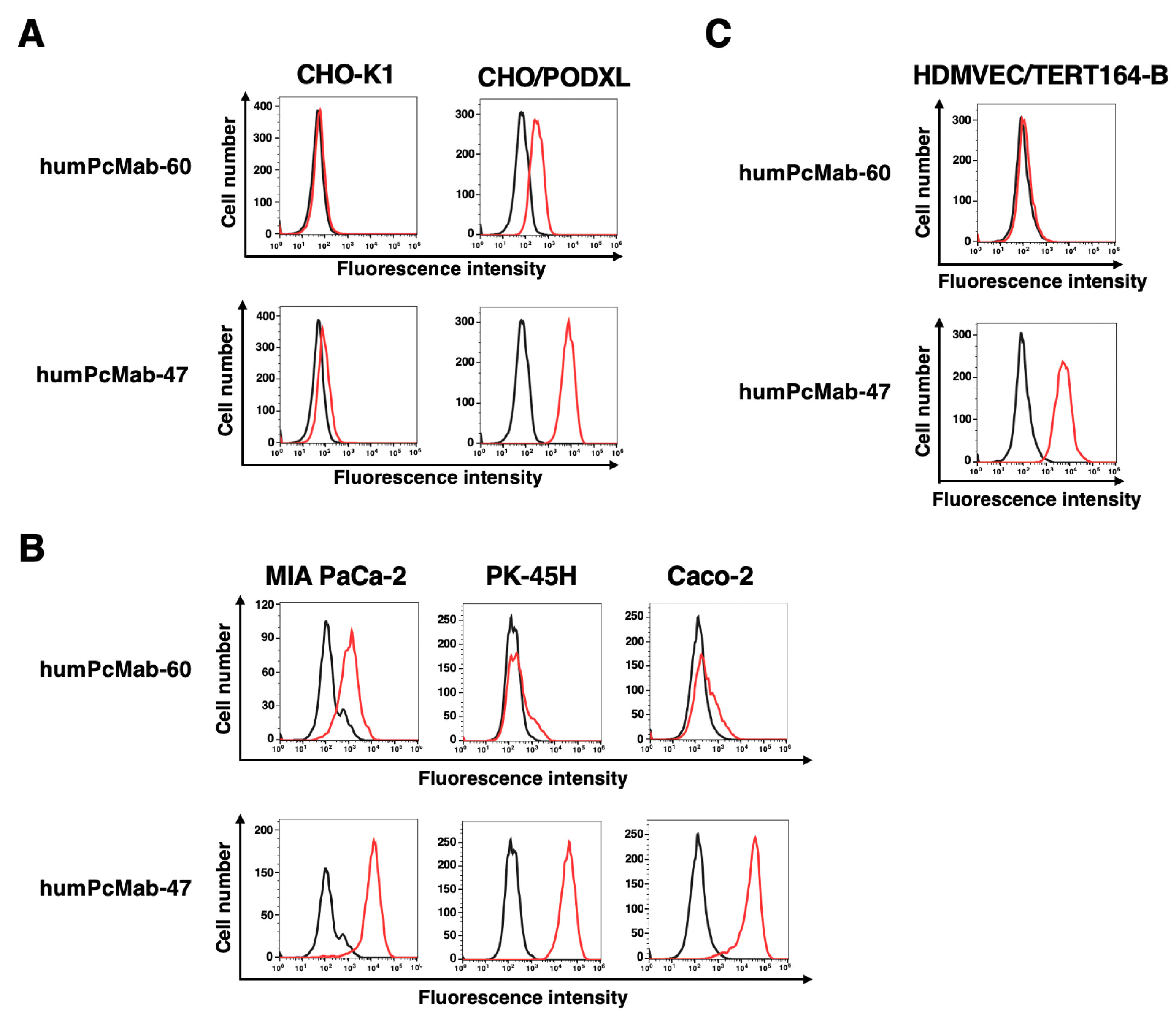 Preprints 165812 g002