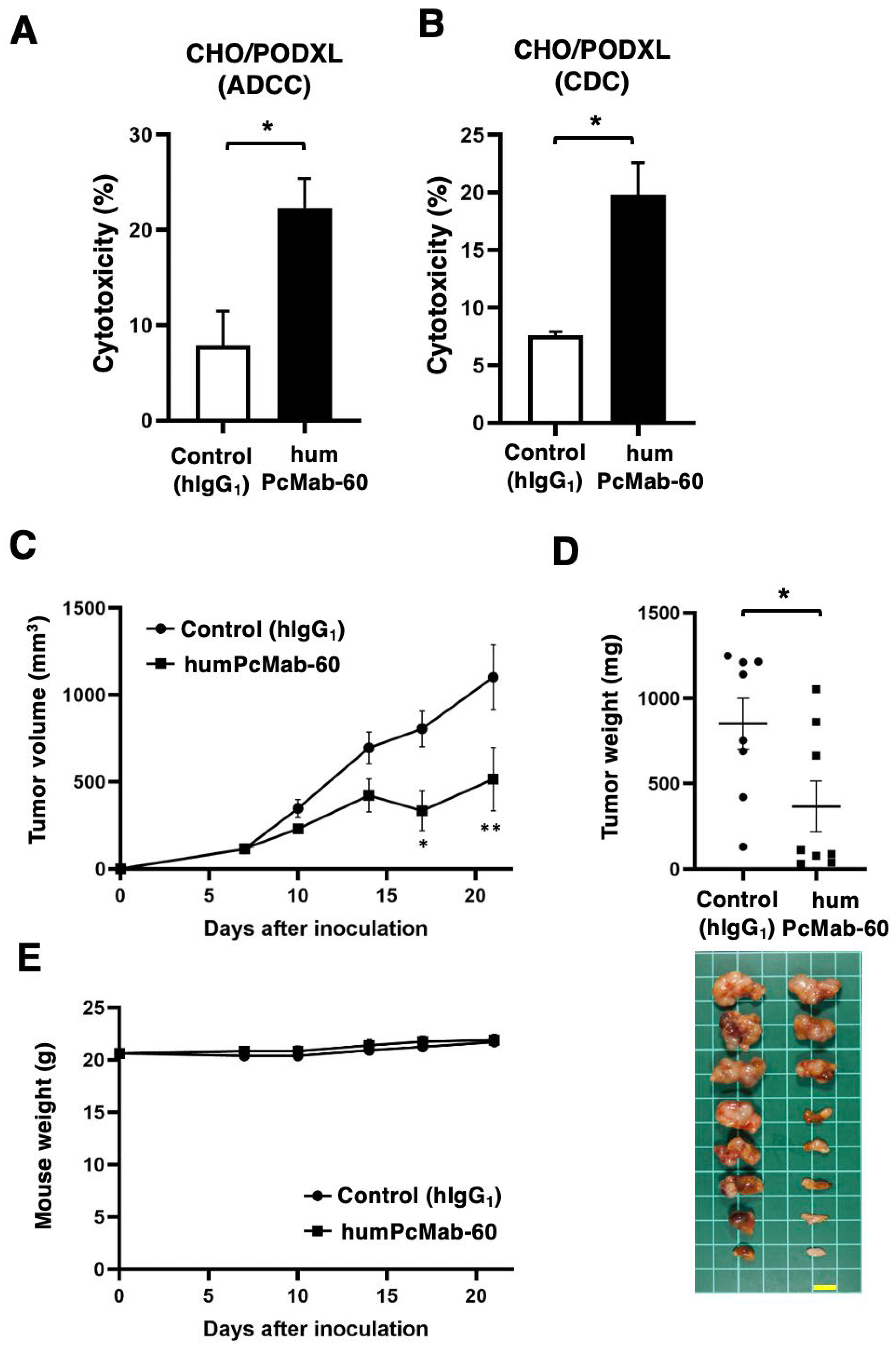 Preprints 165812 g003