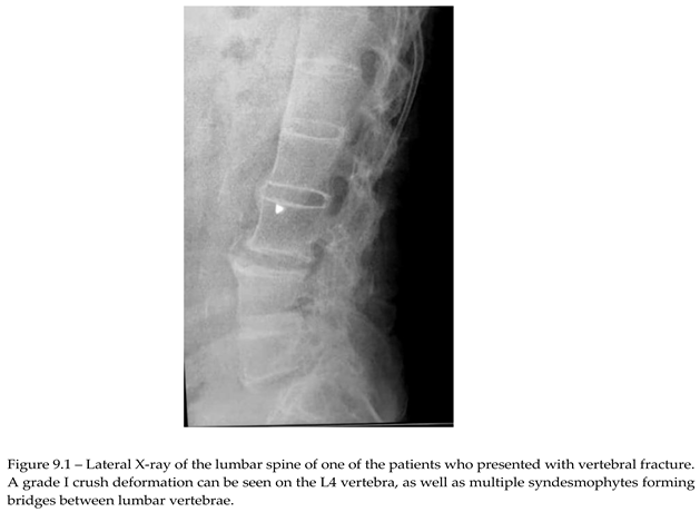 Preprints 149914 i002