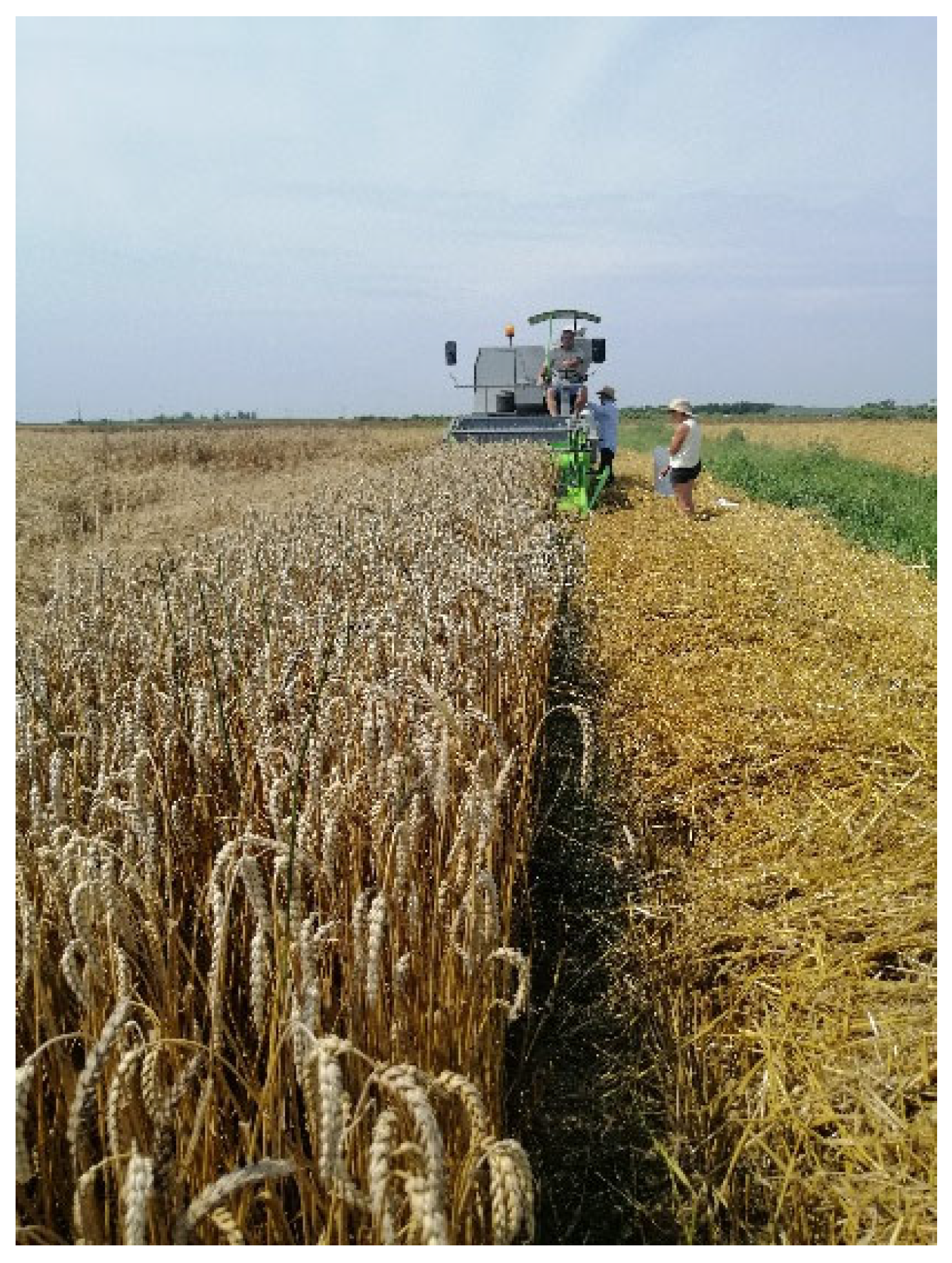 Preprints 138625 g004