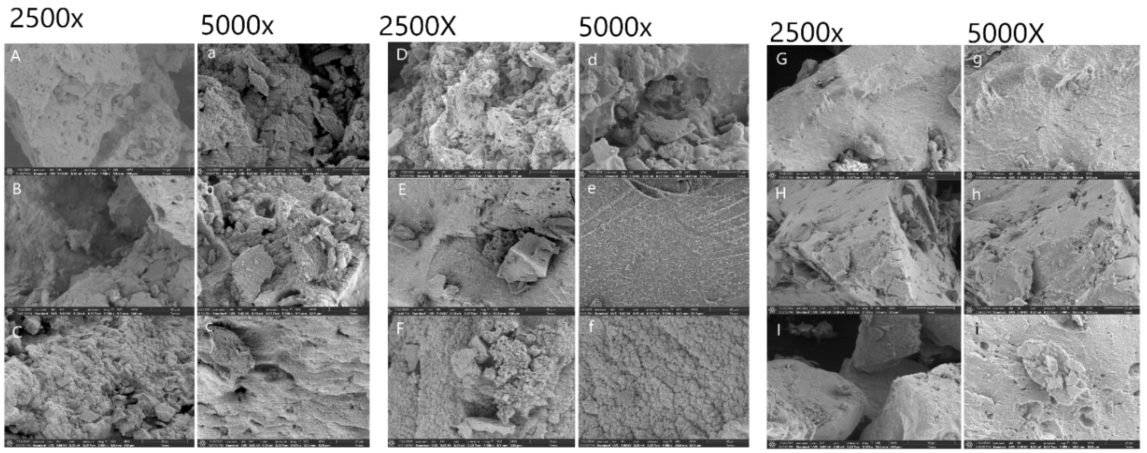 Preprints 192437 g003