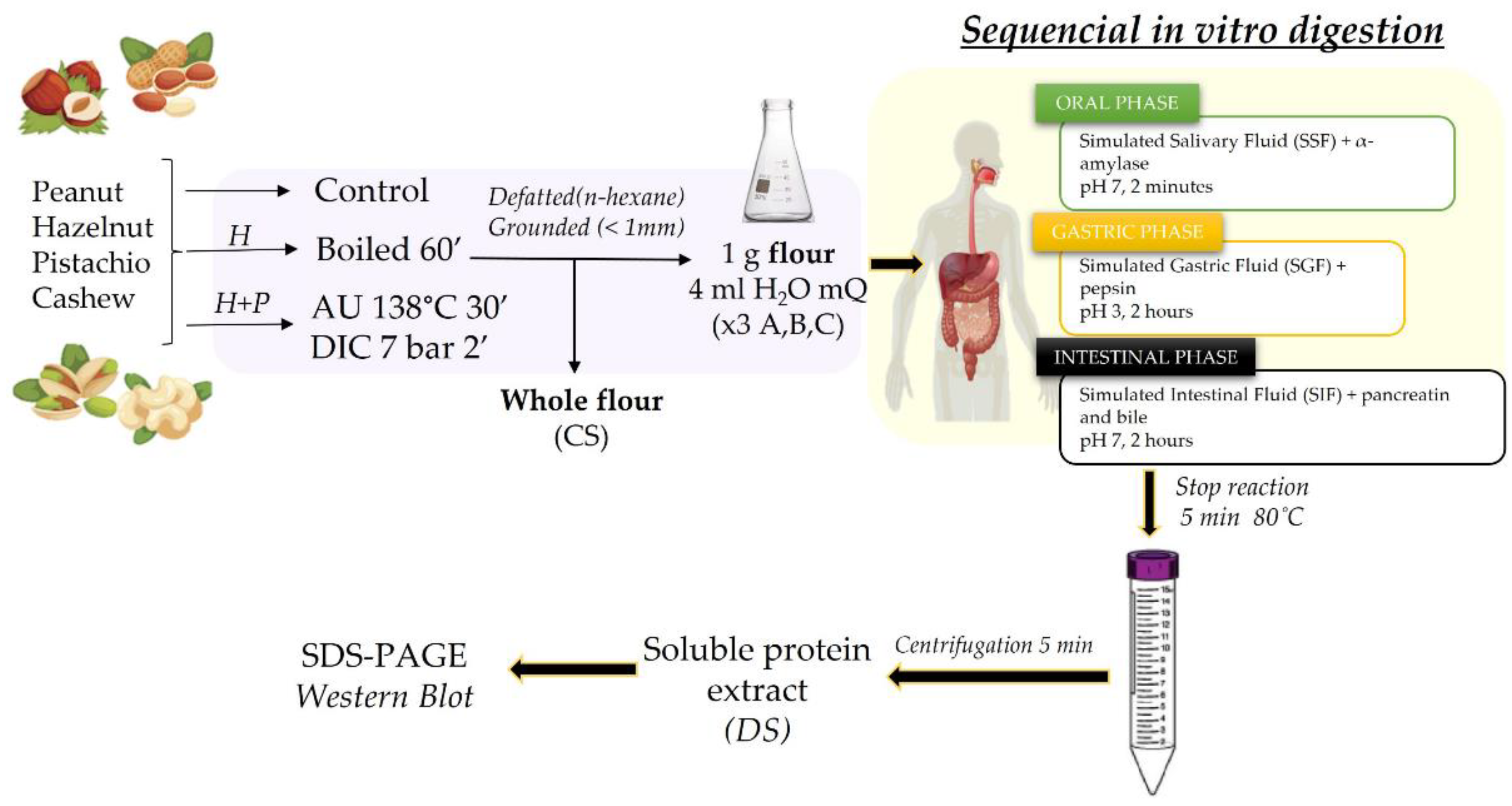 Preprints 121332 g001