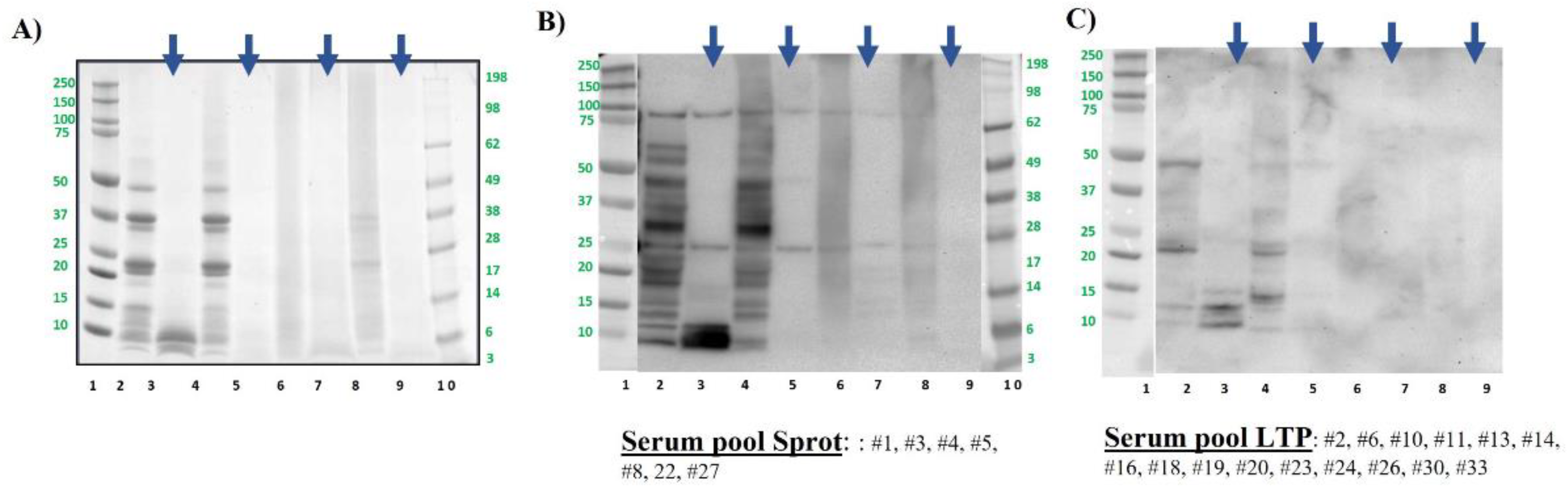 Preprints 121332 g003