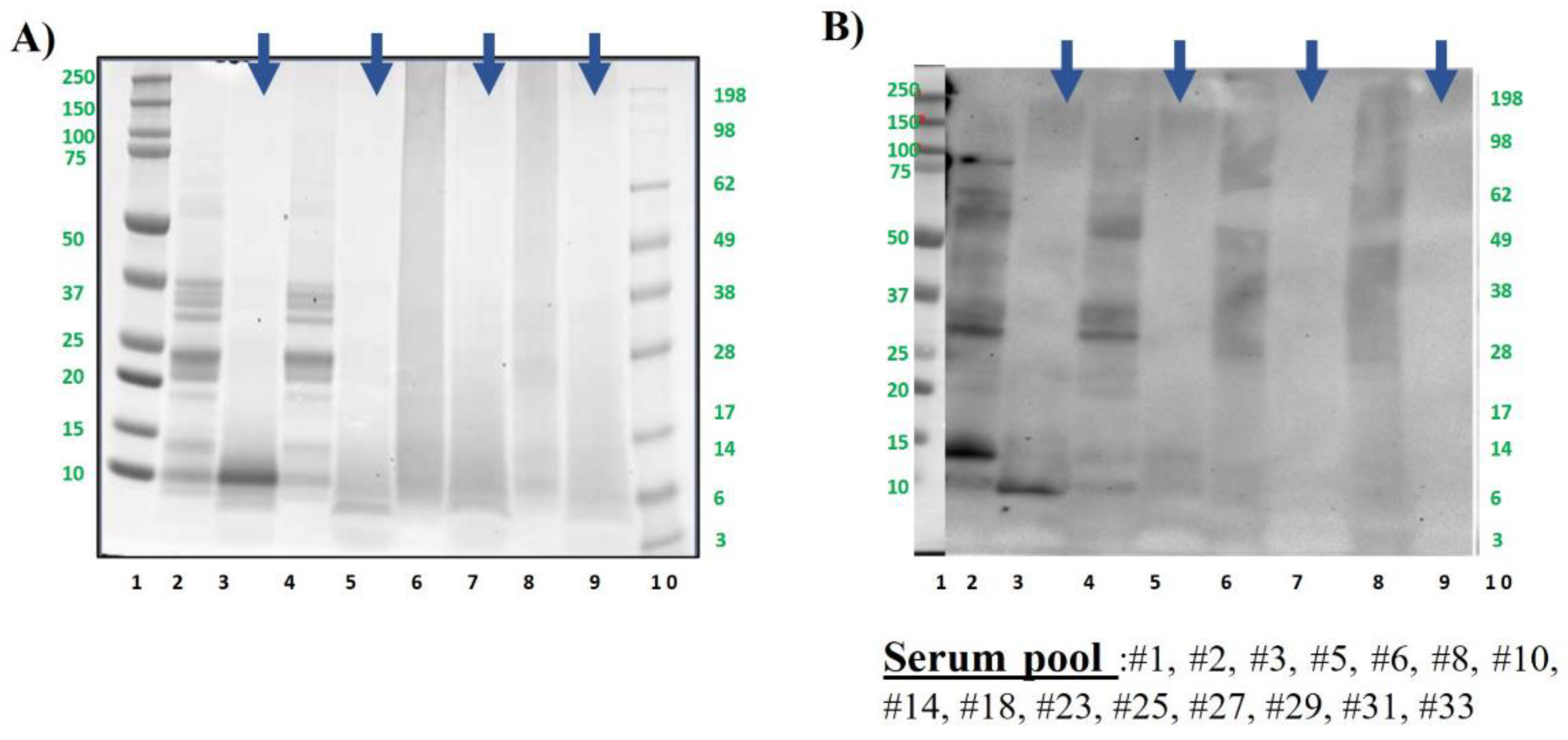 Preprints 121332 g004
