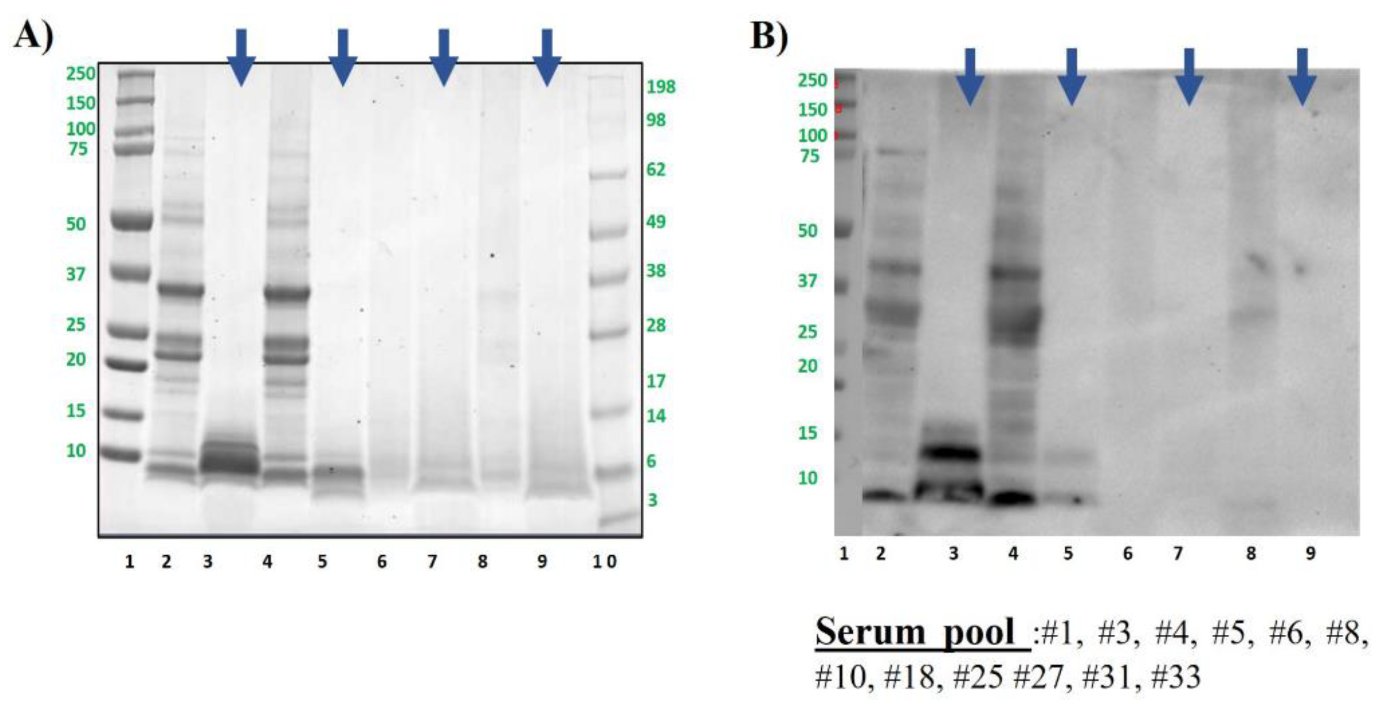 Preprints 121332 g005