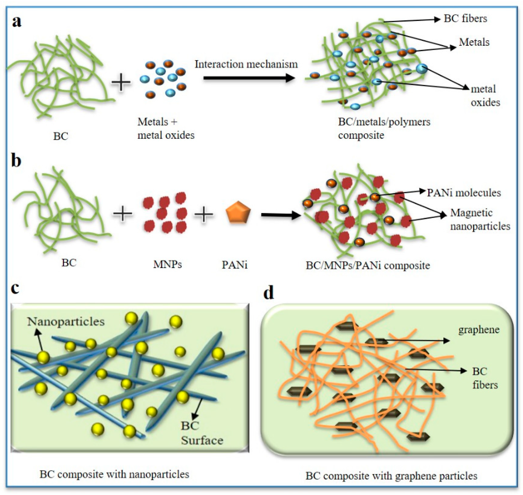 Preprints 196385 g002