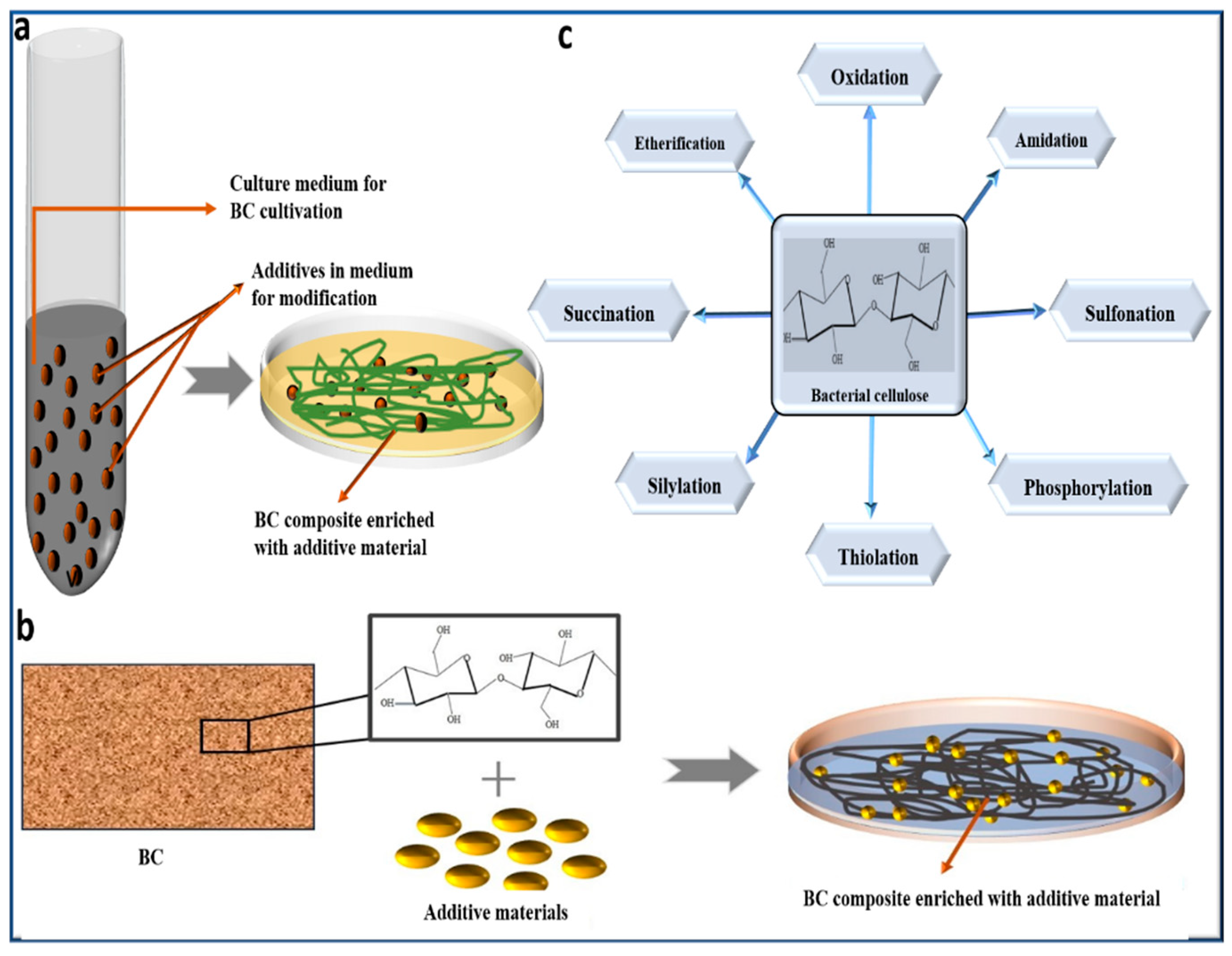 Preprints 196385 g003