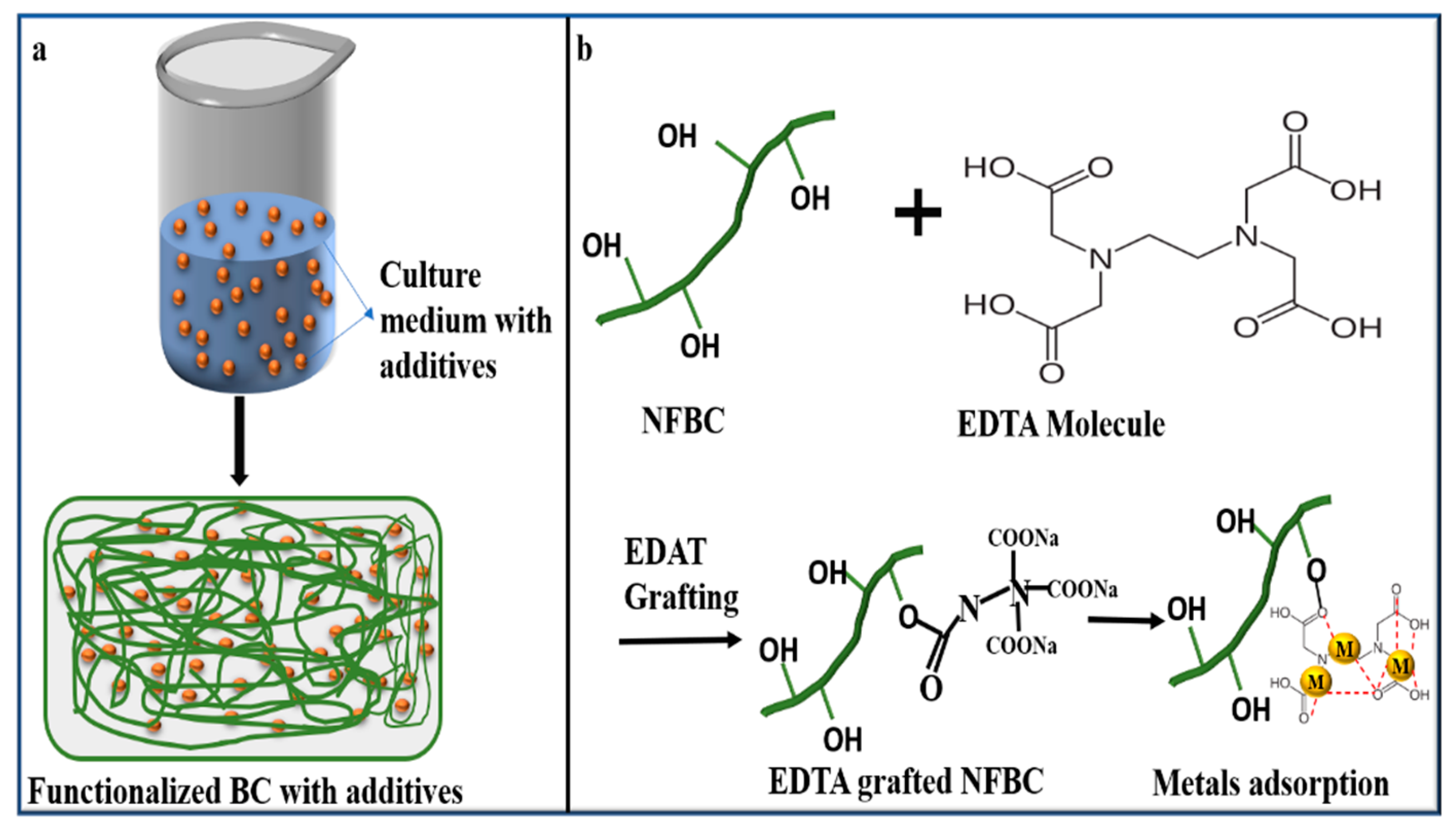 Preprints 196385 g004