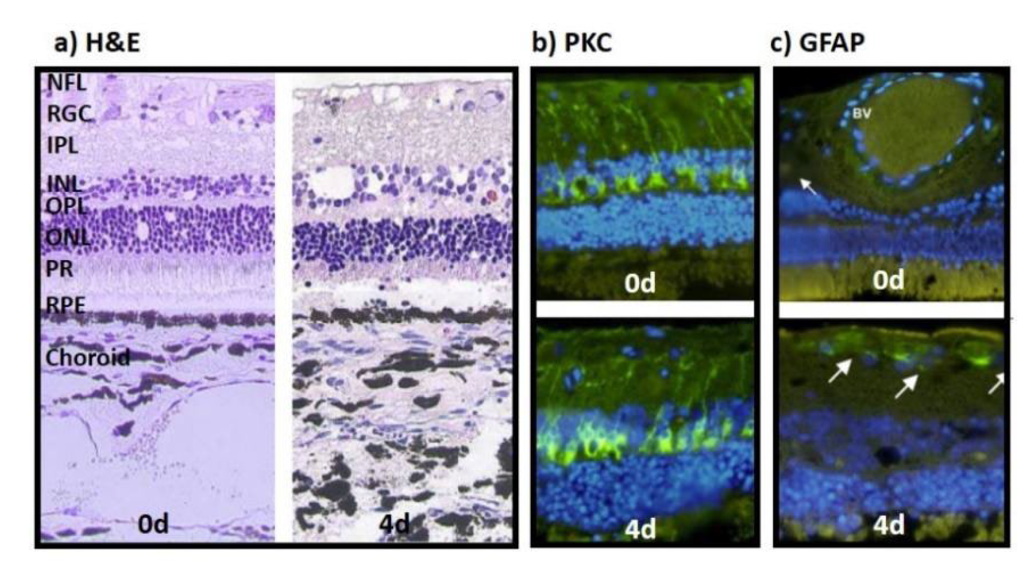Preprints 73267 g001