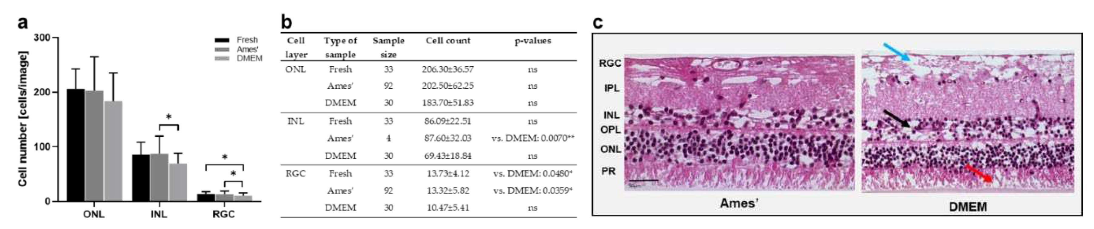 Preprints 73267 g003