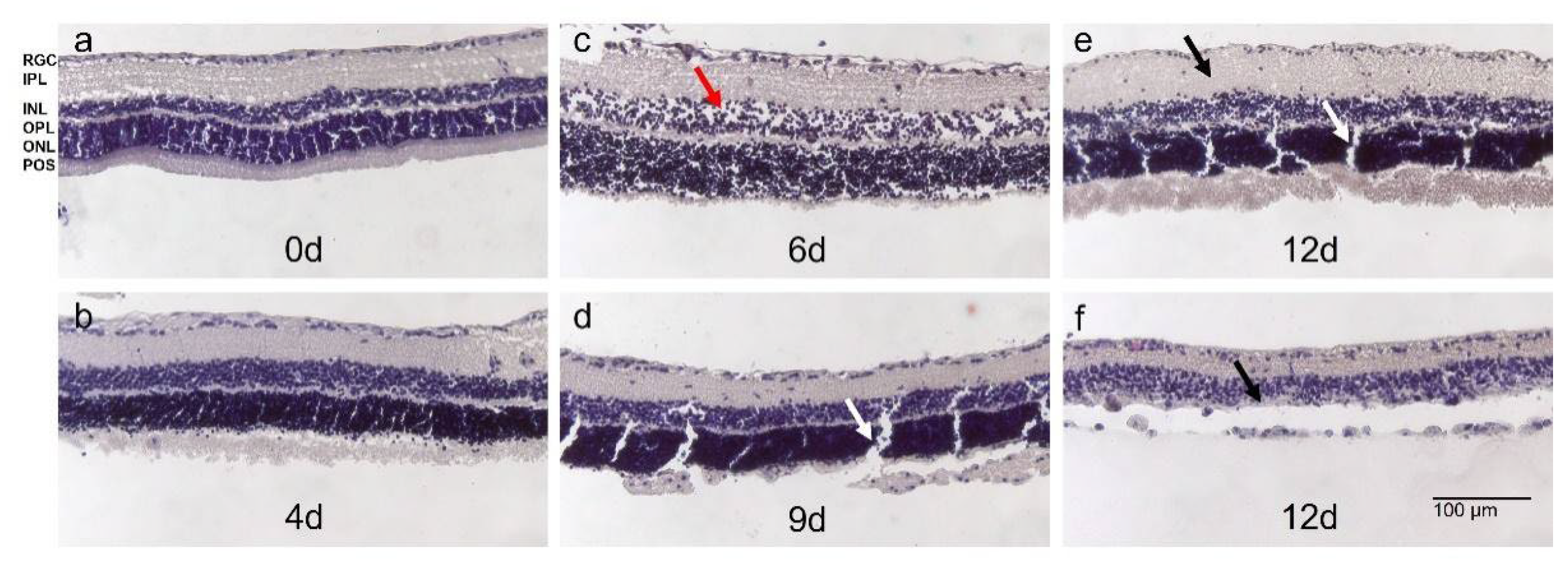 Preprints 73267 g006