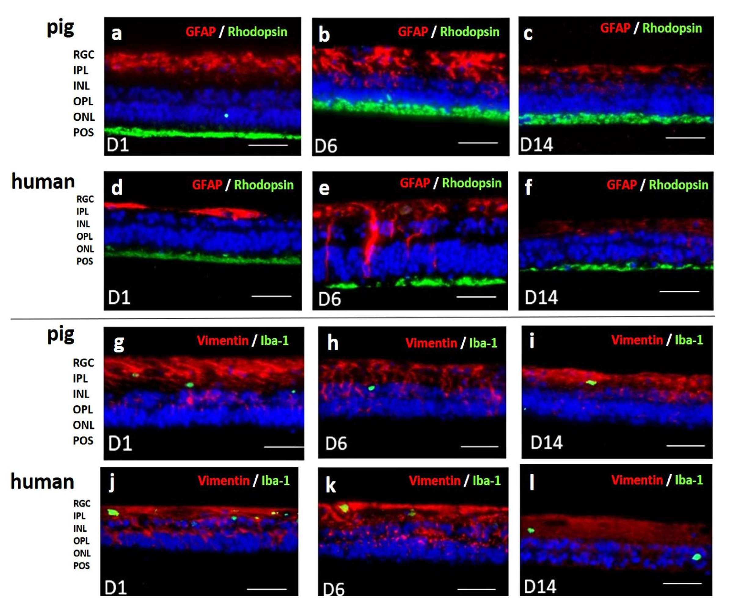 Preprints 73267 g009