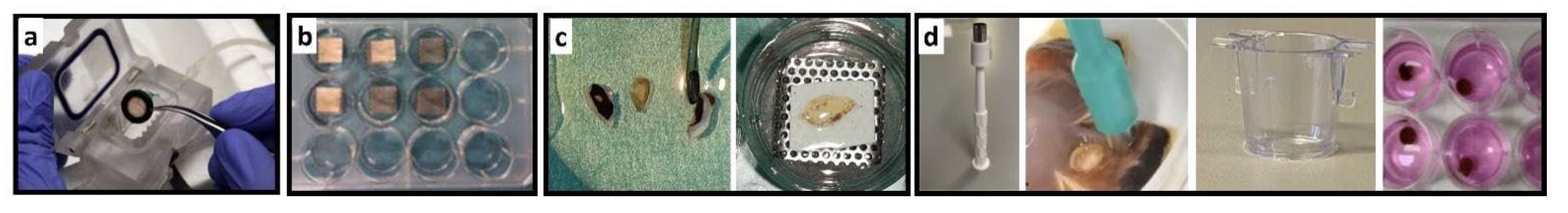 Preprints 73267 i002