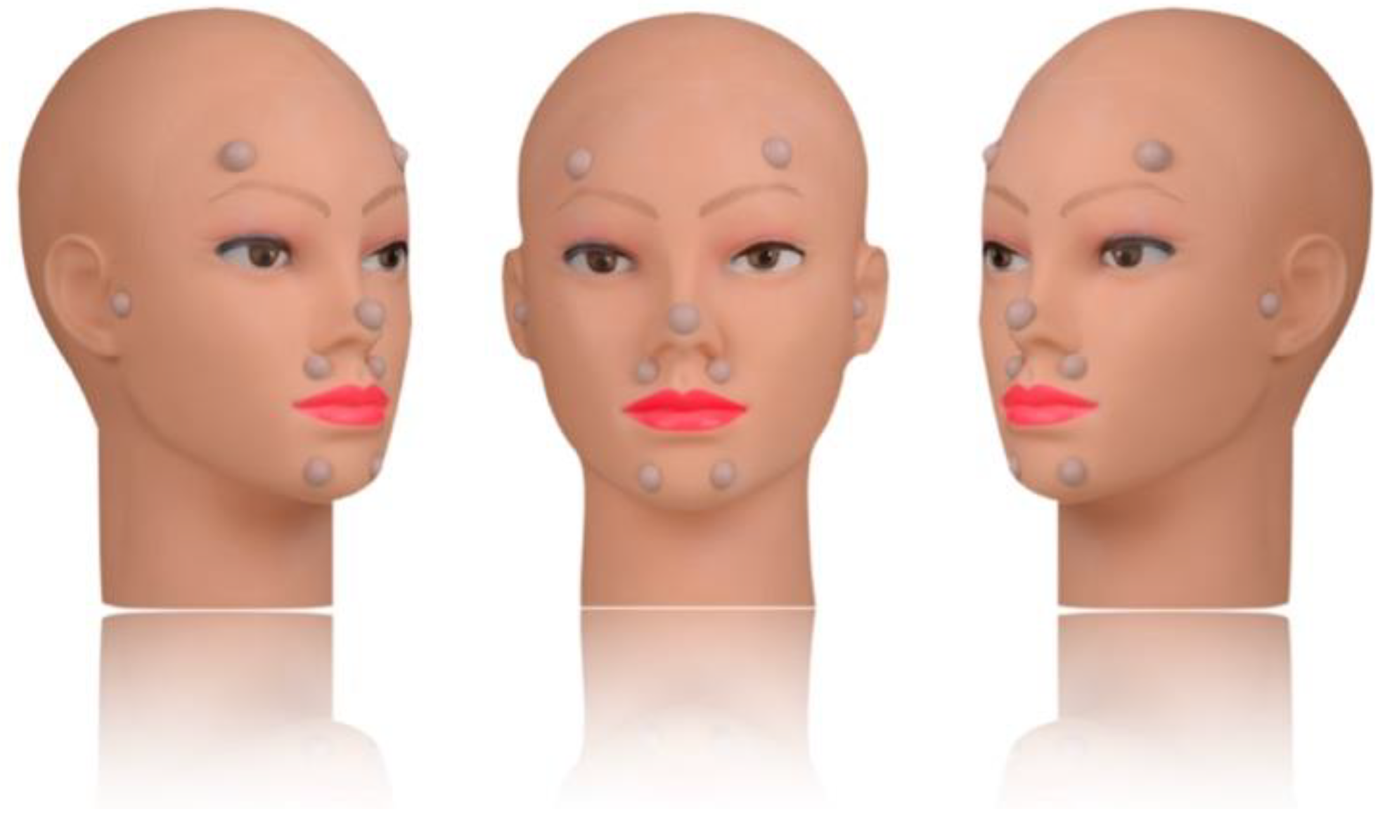 Preprints 175596 g002