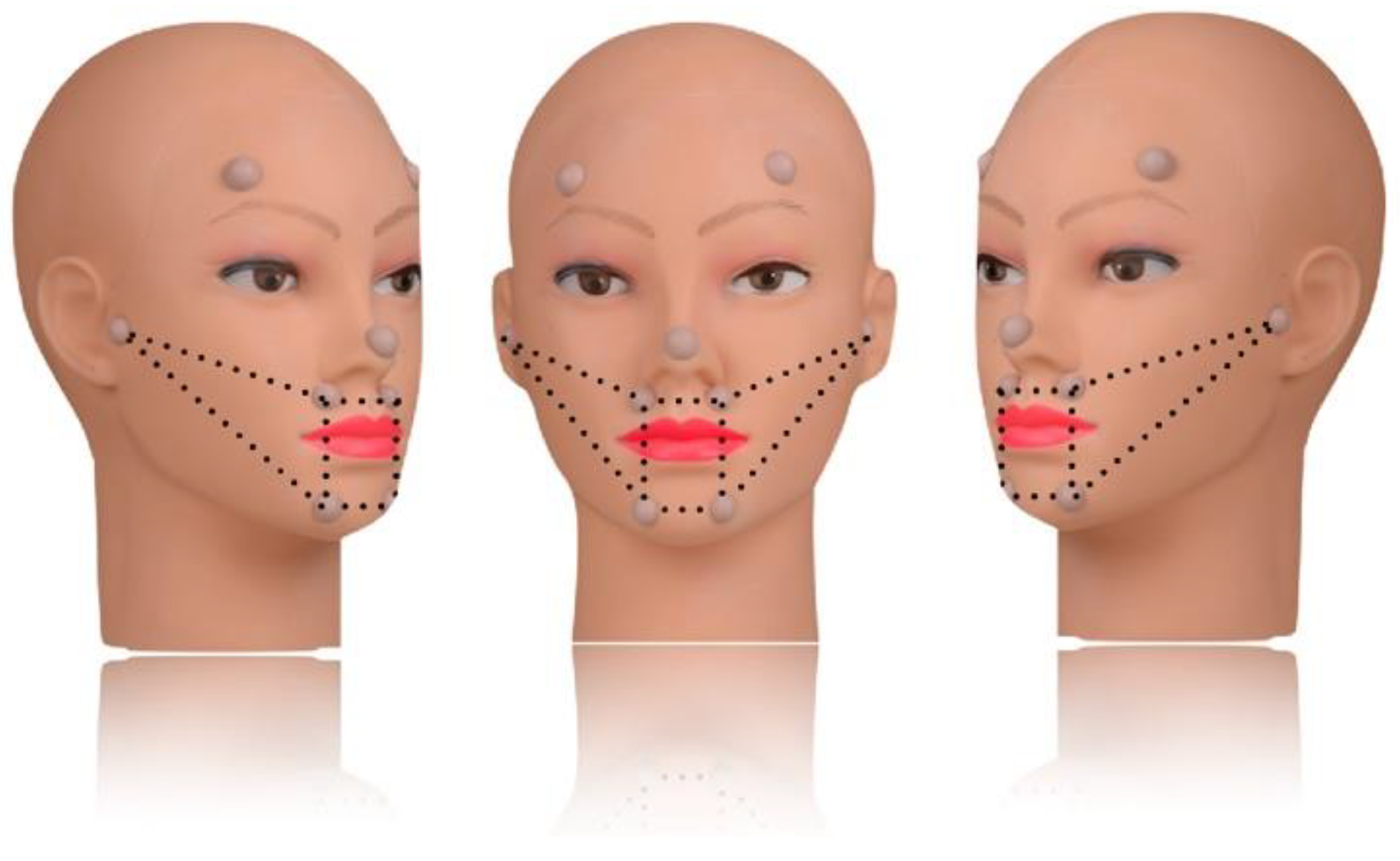 Preprints 175596 g004