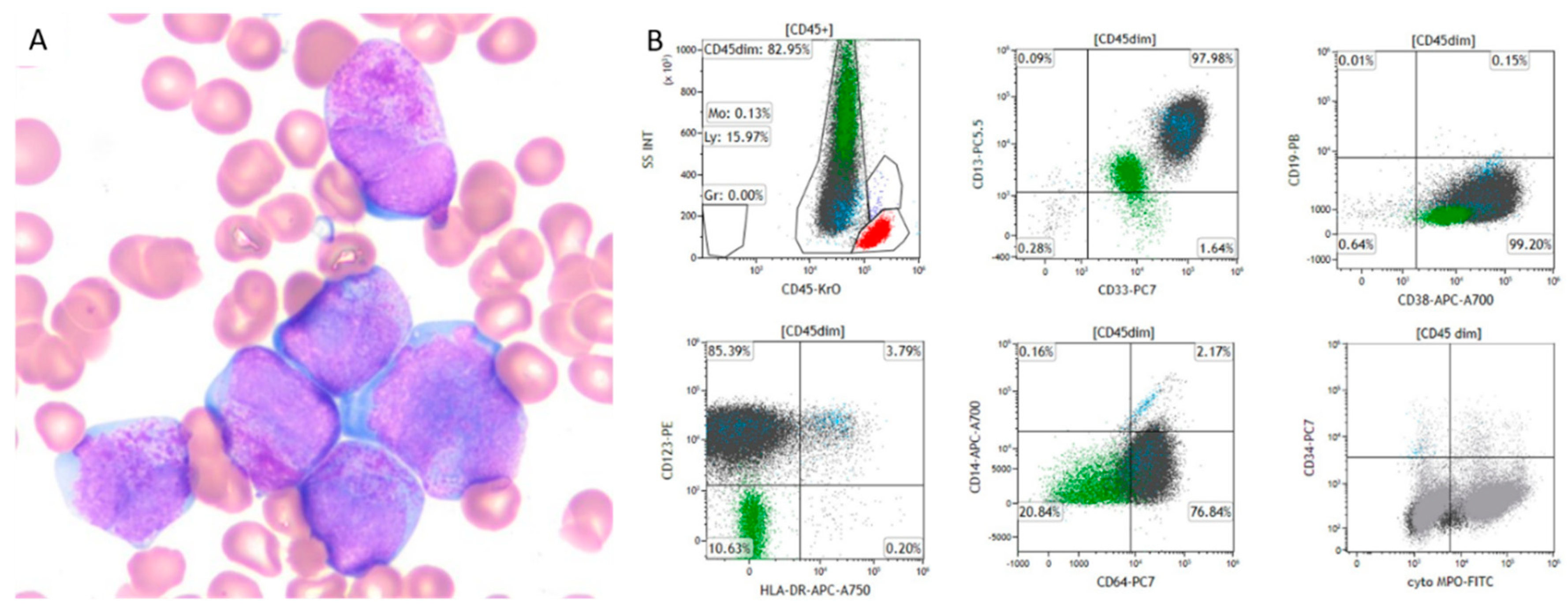 Preprints 139080 g001