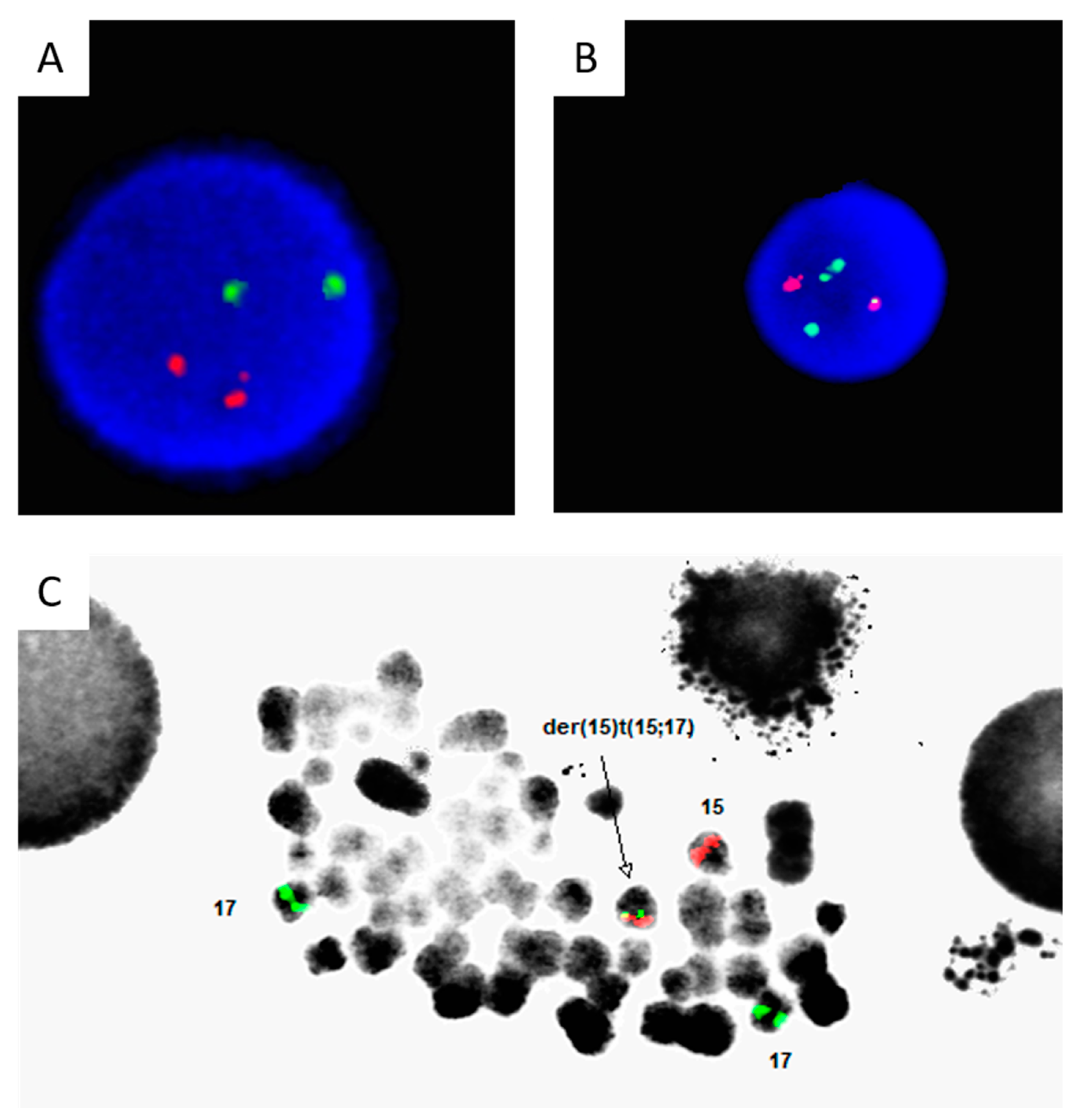 Preprints 139080 g002