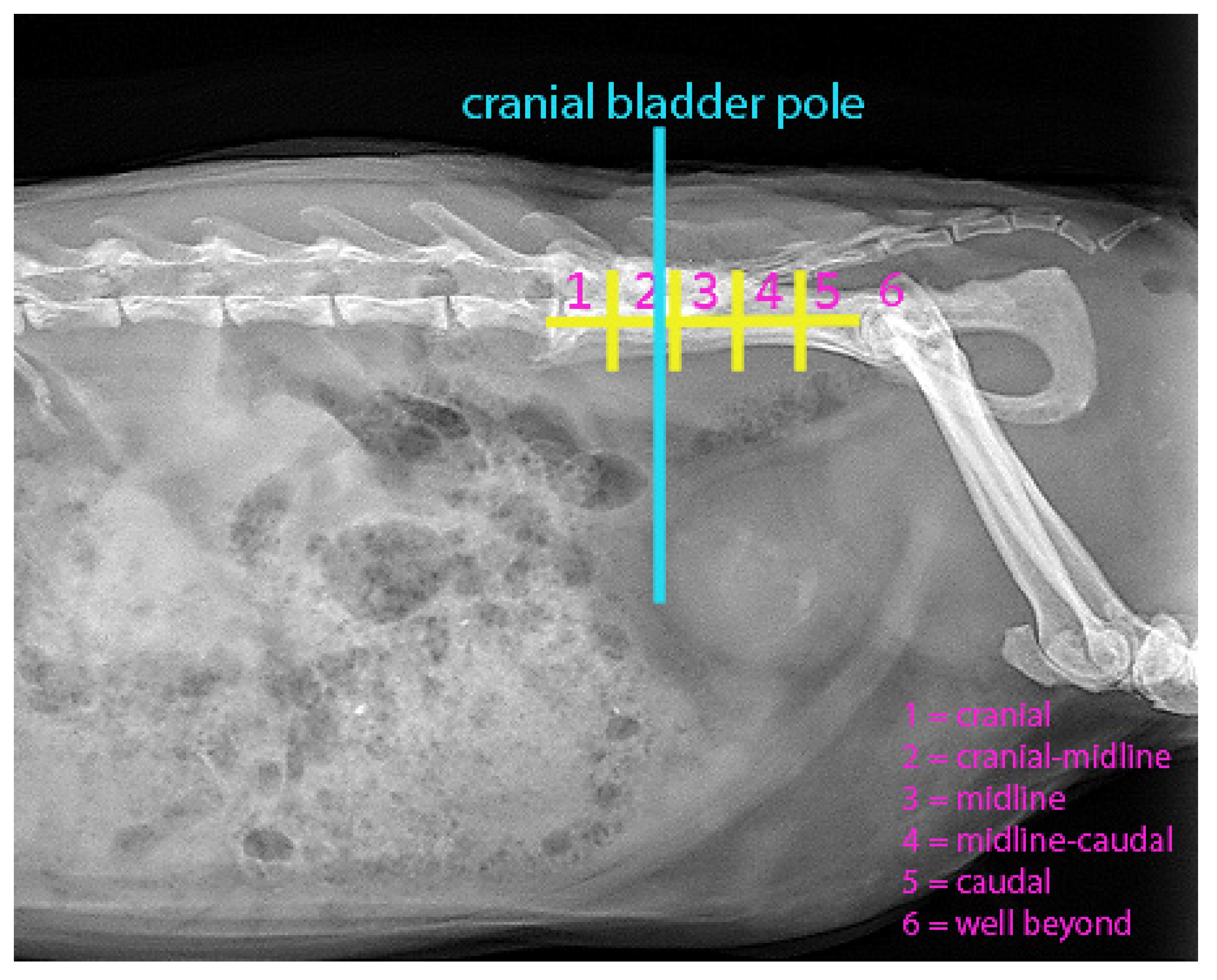 Preprints 198543 g001