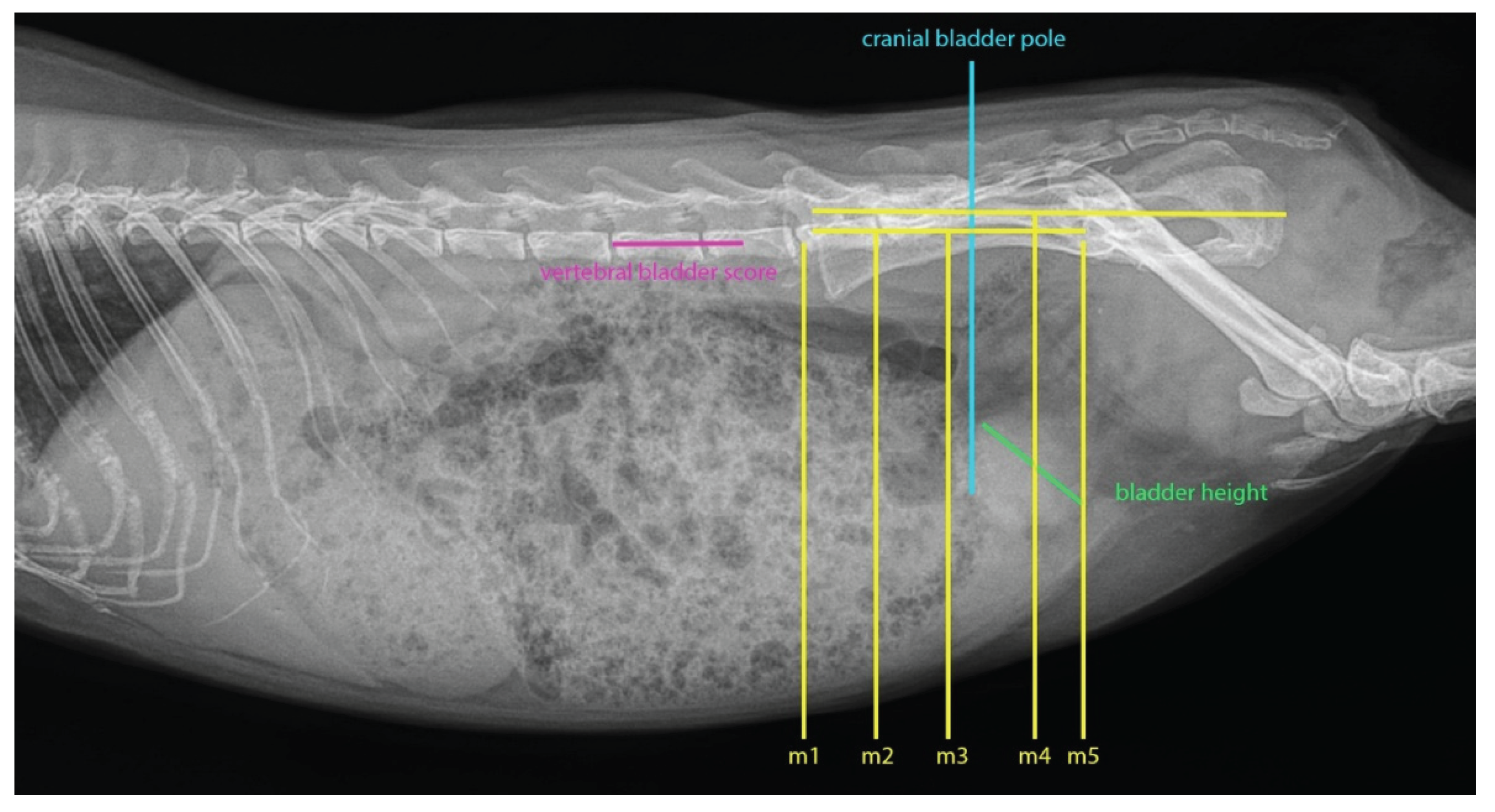 Preprints 198543 g002