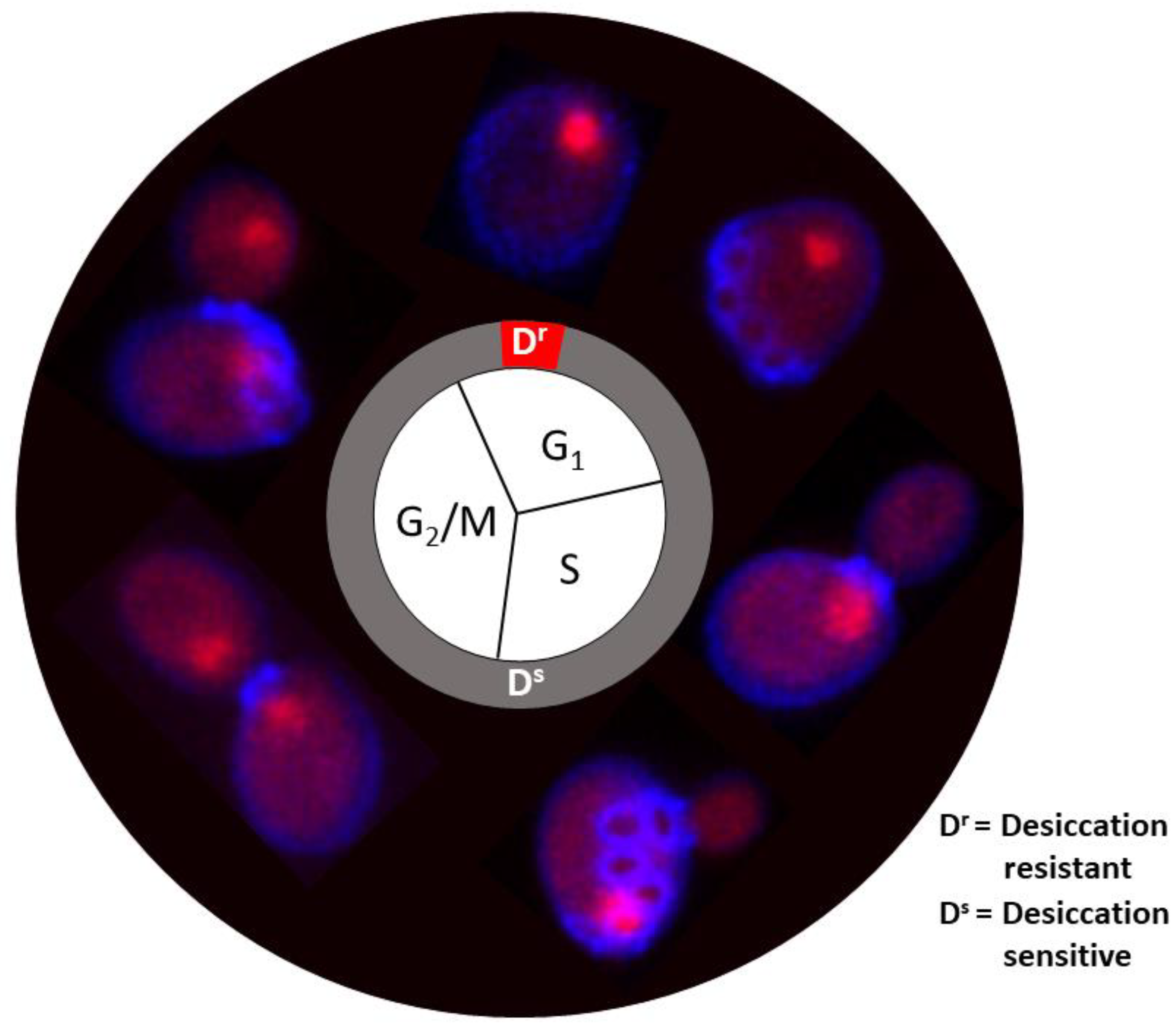 Preprints 110094 g001