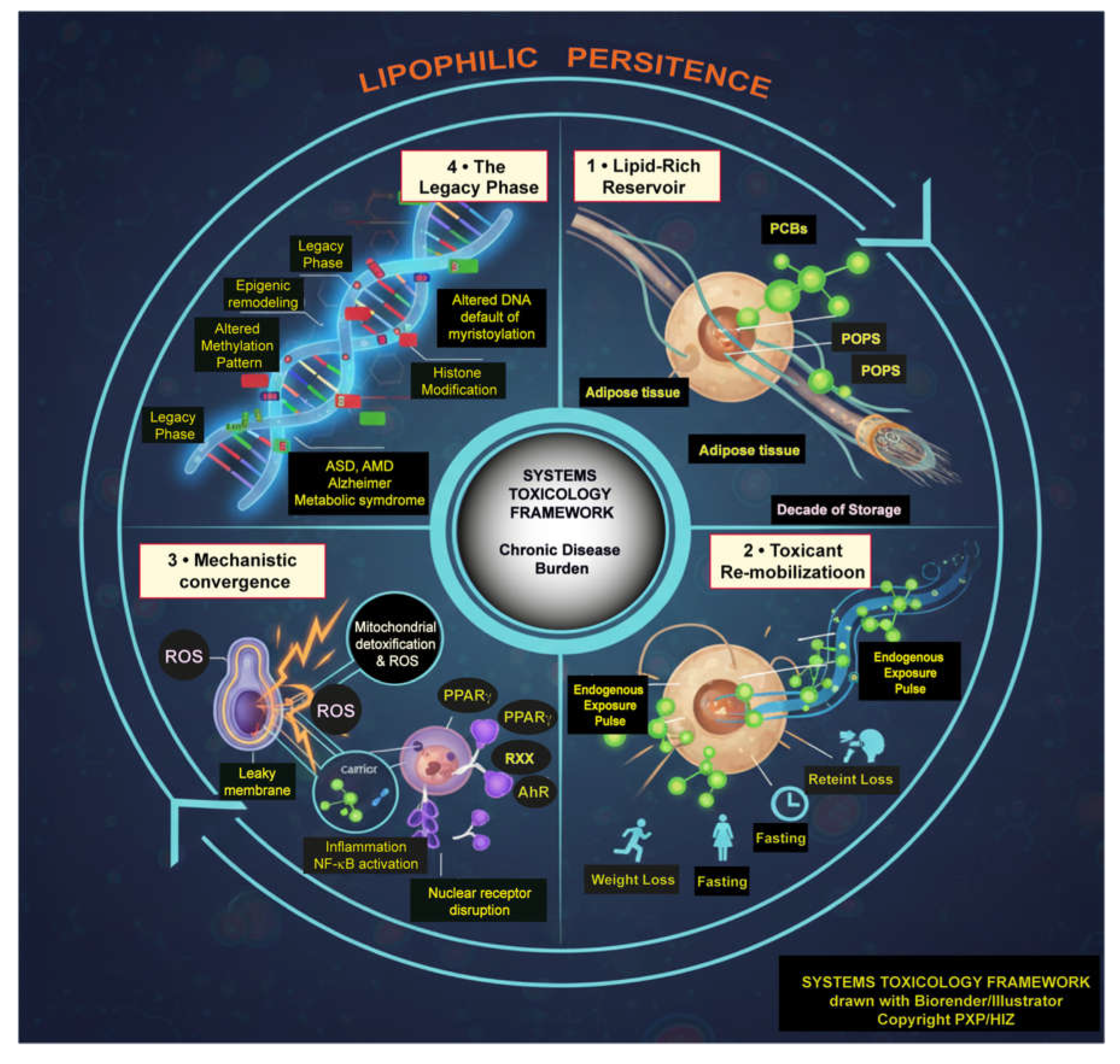 Preprints 199011 g001