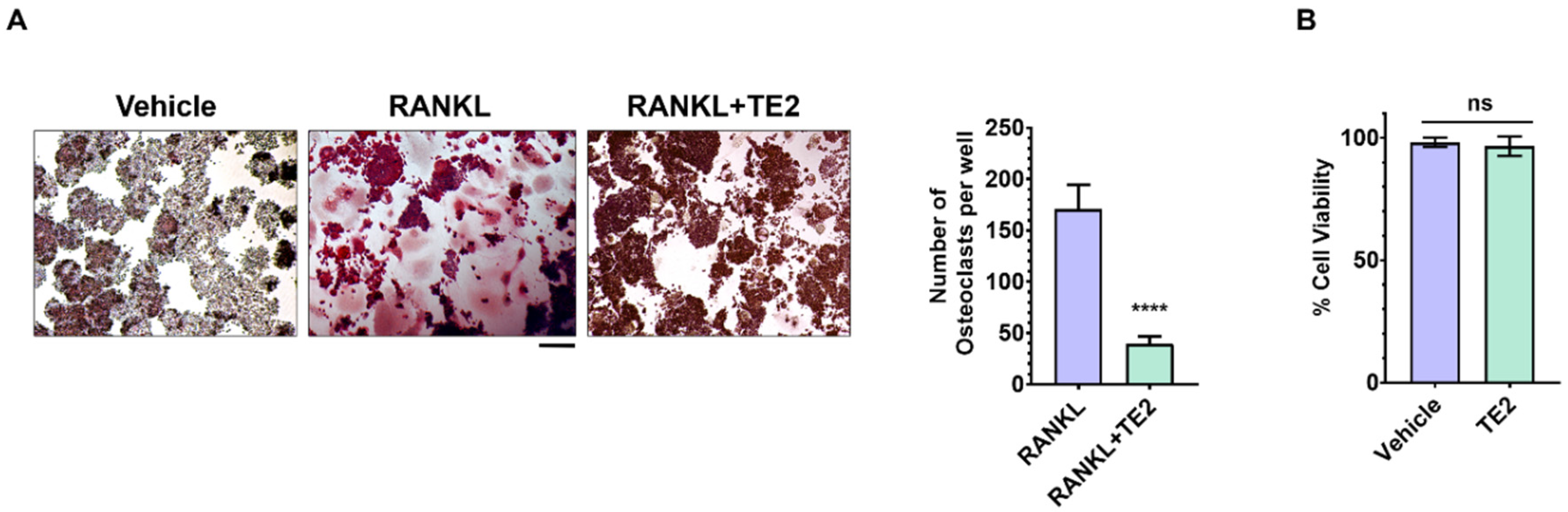 Preprints 224020 g001 Preprints 224020 g001