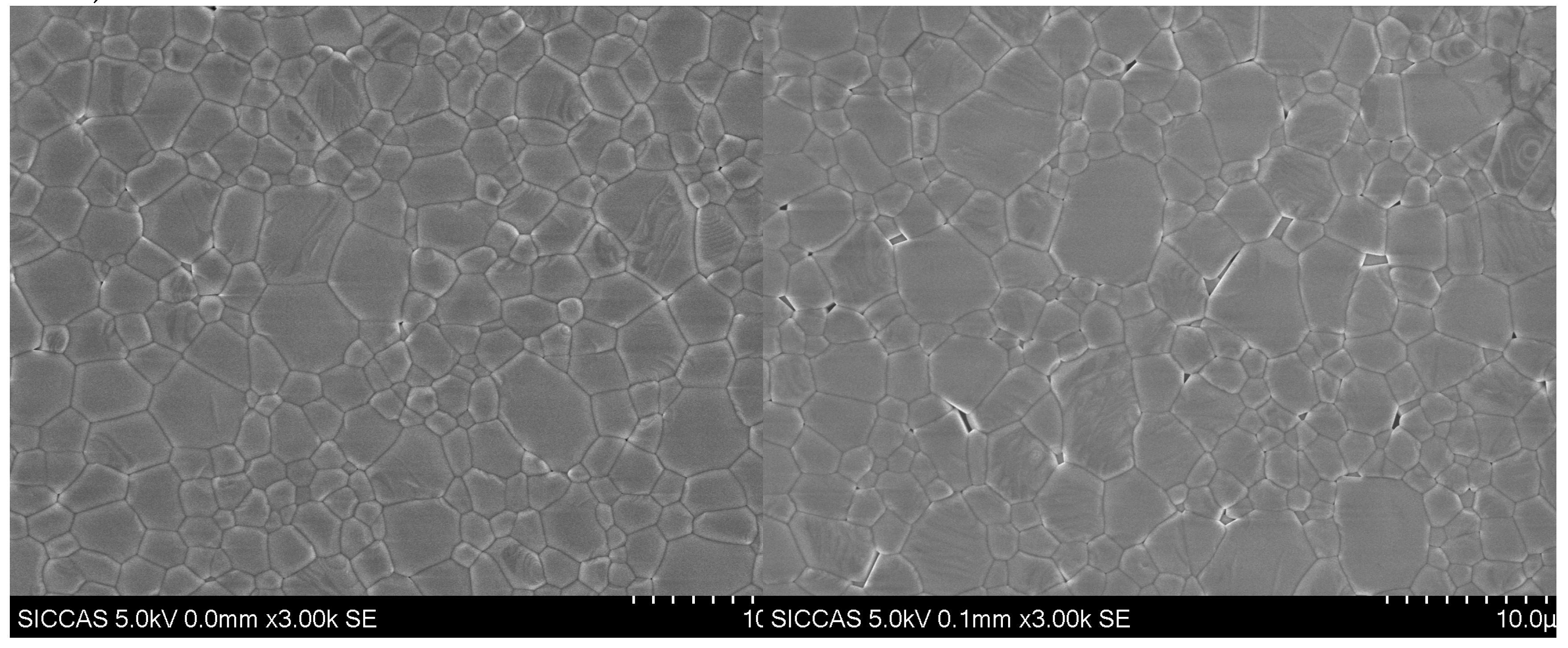 Preprints 166304 g003a