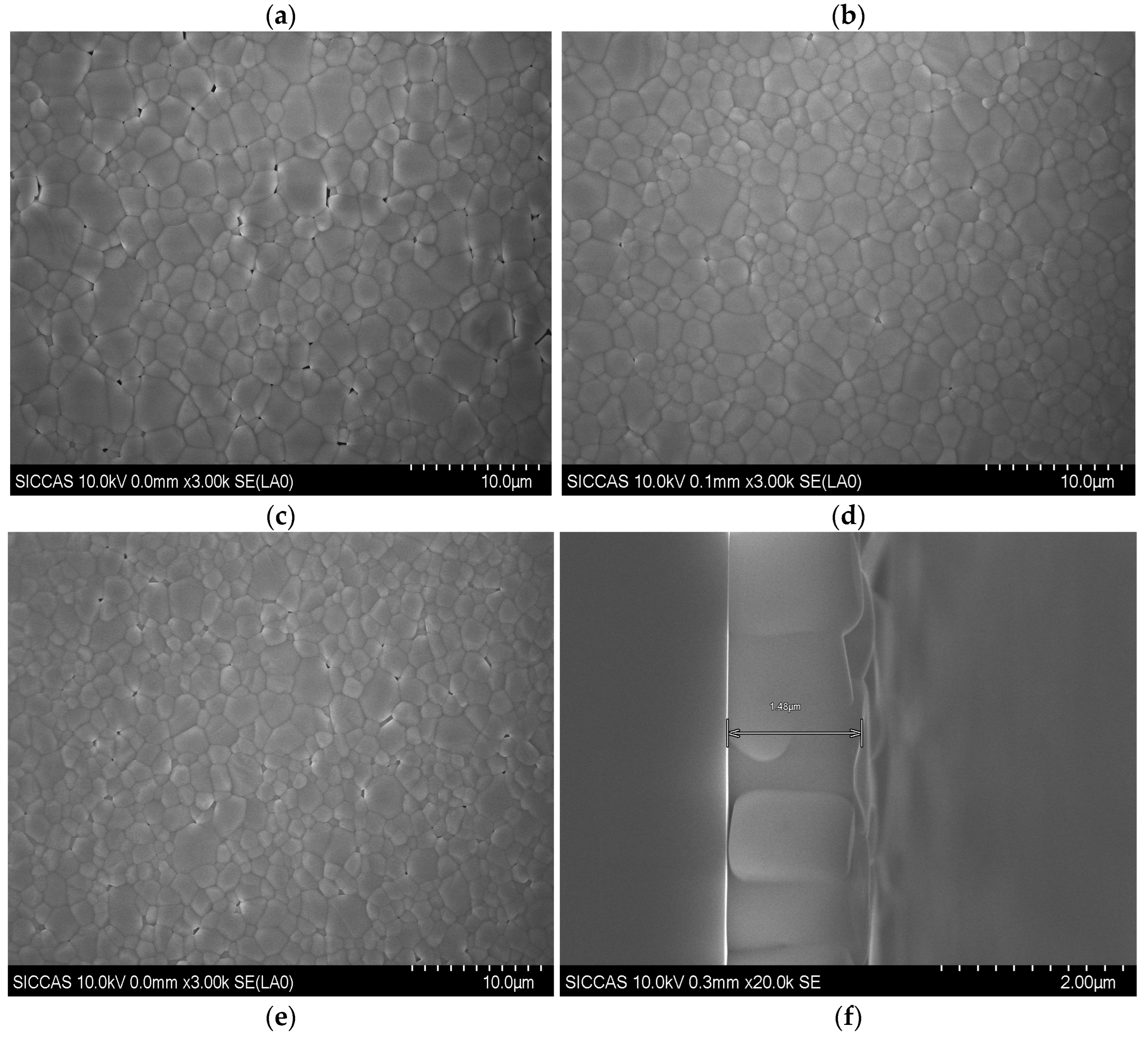 Preprints 166304 g003b
