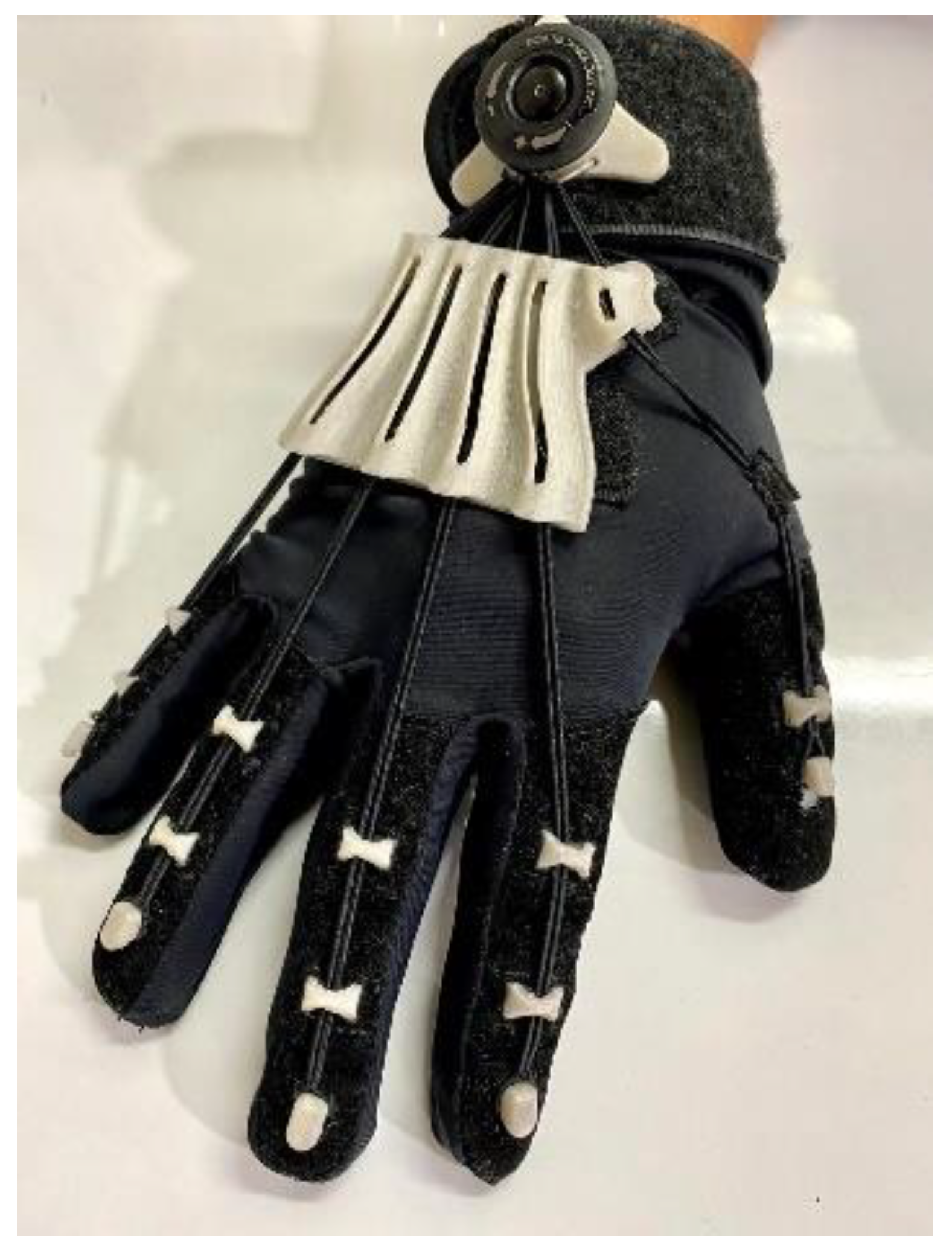 Preprints 149355 g001